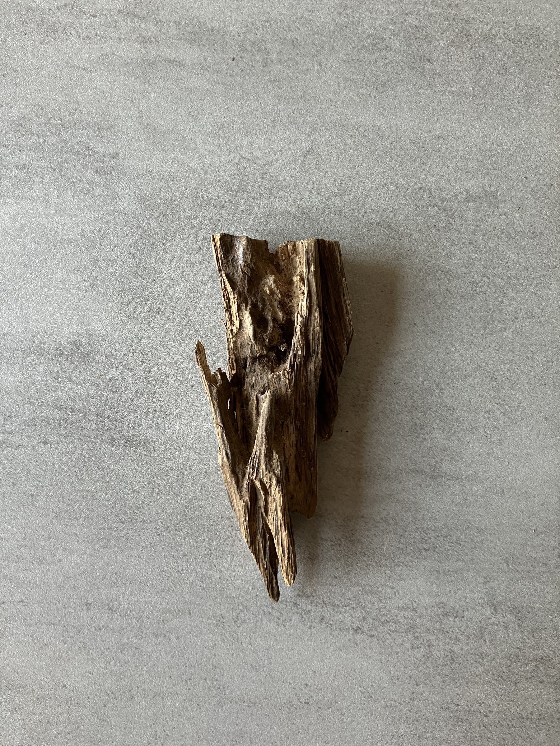 image_4592AF7F-15DA-4032-AFEA-FF8D1FA1DBE4_1774337796