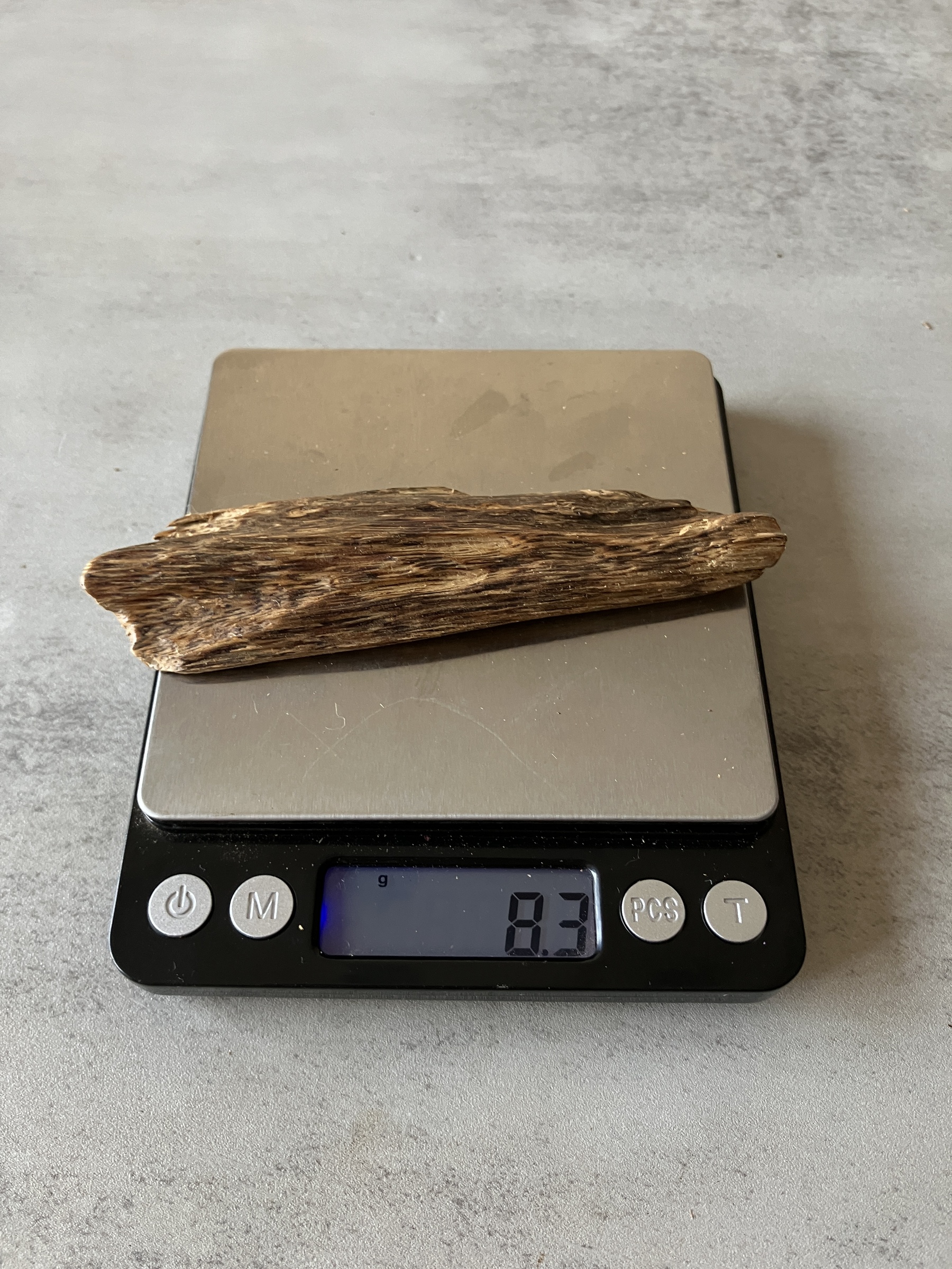 image_87B6E7E7-FF3A-4877-AE88-8EB3CB9DD211_1774337916