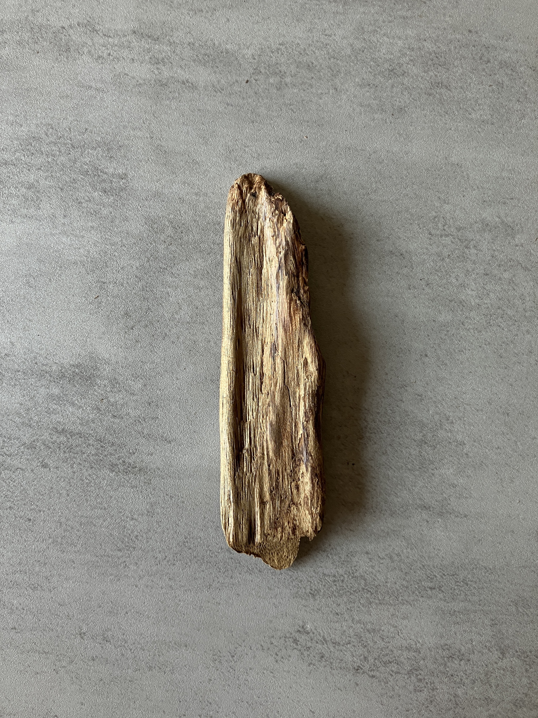 image_59777EB4-4BAB-47CB-96A9-0D25063C5C2F_1774337916