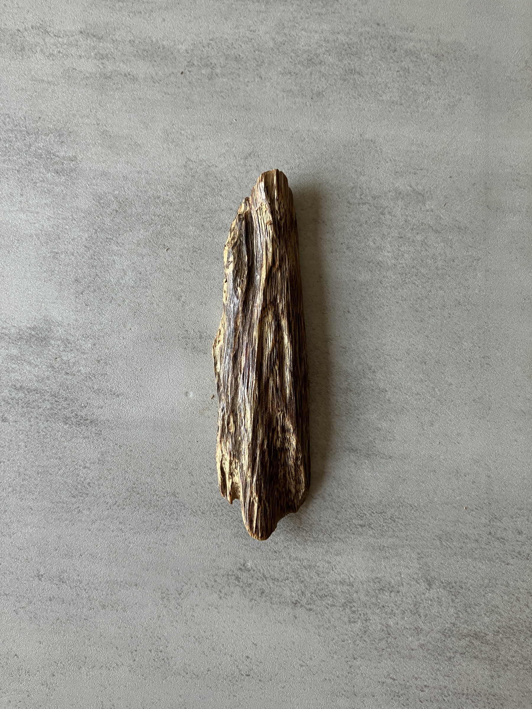 image_B3EE188E-3362-4A77-A7F2-C3E4D2EFD54F_1774337916