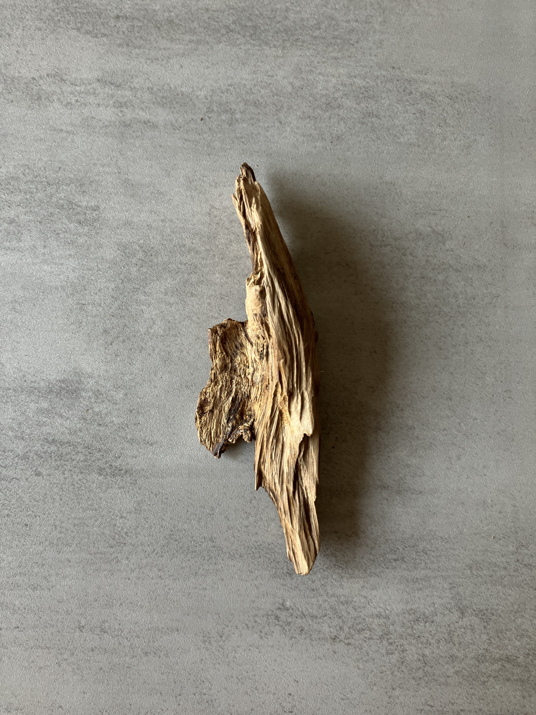 image_6306BD32-D2E2-4EDA-941B-E64F948AE765_1774338055