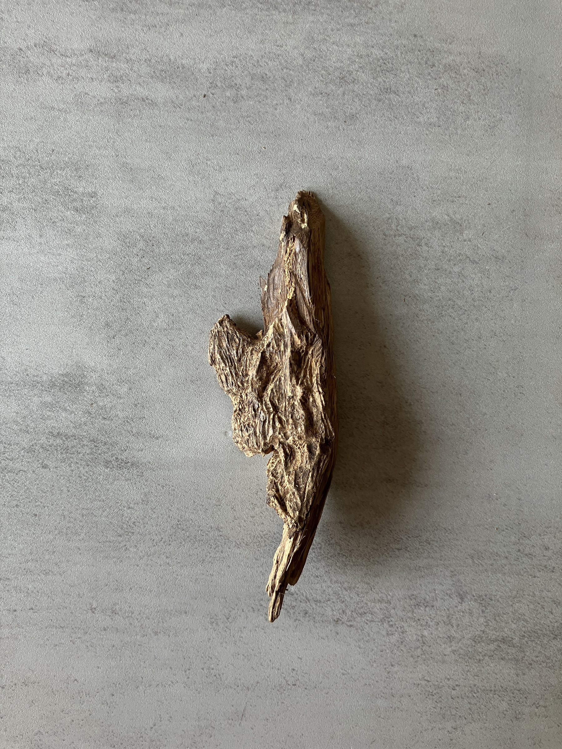 image_AA5A43B8-340D-4C52-A5D4-1E103C9BEA44_1774338055