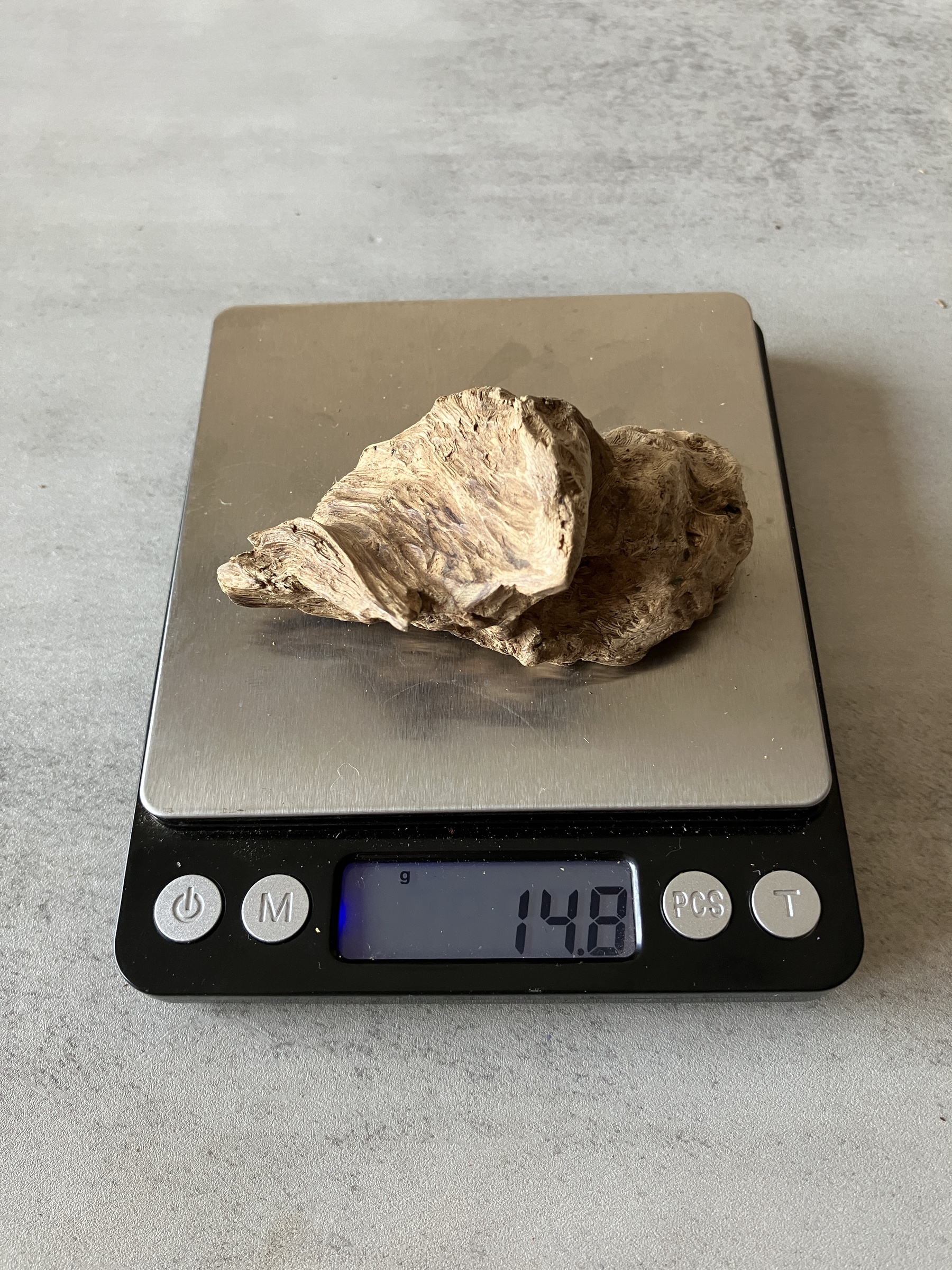 image_34564BEB-B0A9-48DF-BD4C-F869055FF0D1_1774338164