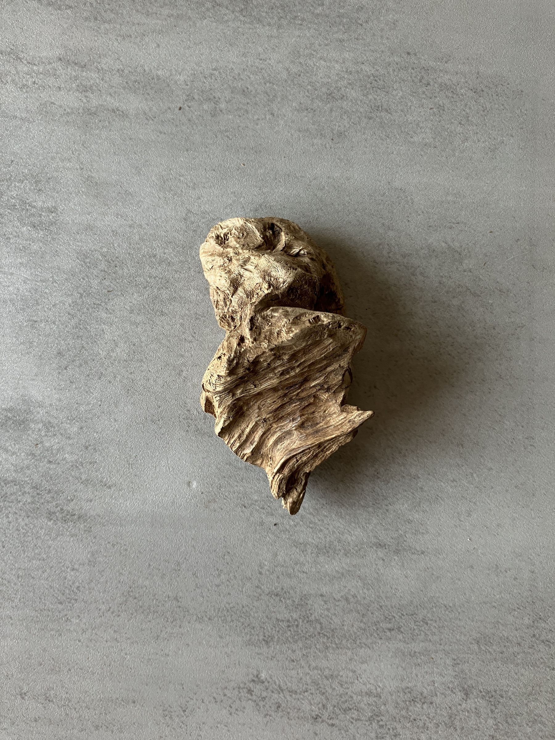 image_CE8682C6-236E-427A-9E33-9970CC616318_1774338164