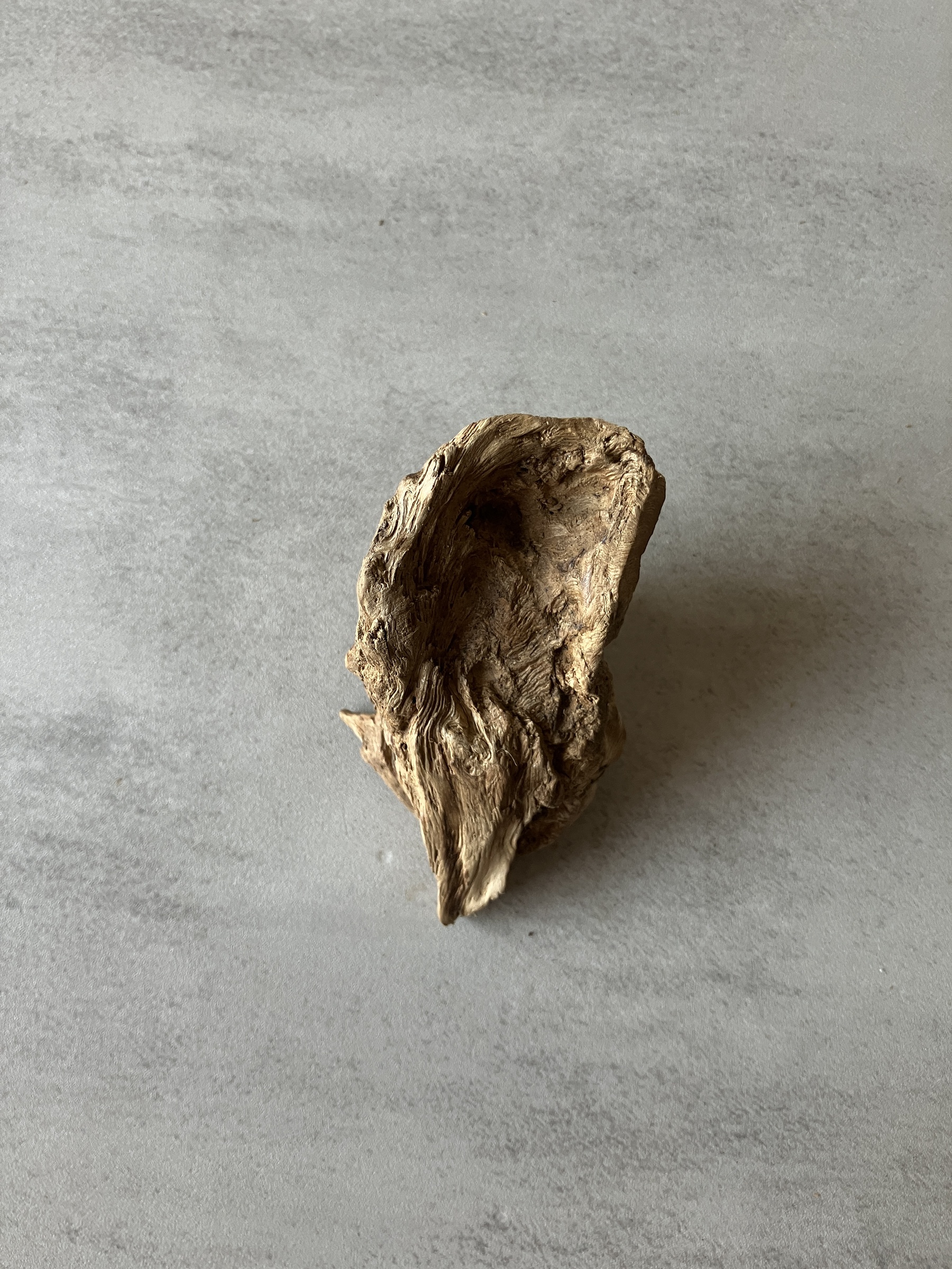 image_0AD384F2-52D3-4333-9B14-A41113842EED_1774338164