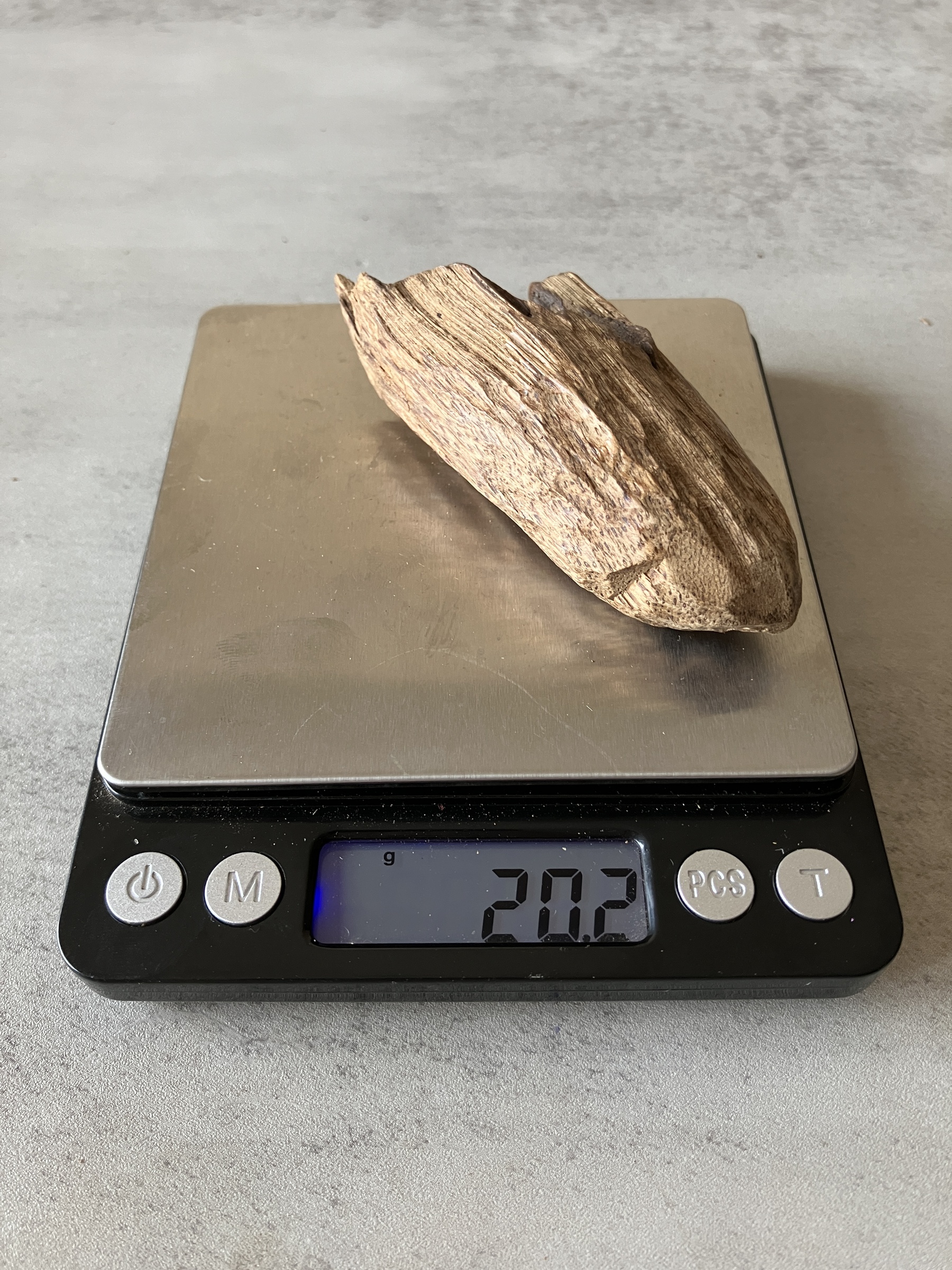 image_47A99EFC-D2C0-40E8-981E-3BA5B00BF359_1774338264