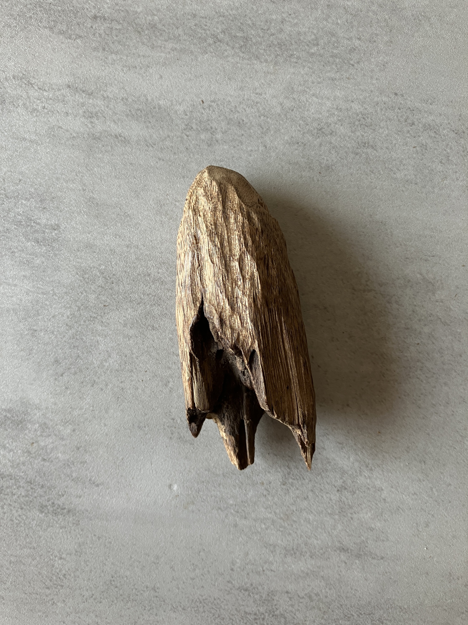 image_792789A2-CA7E-442A-8996-4CD22B6707A0_1774338264