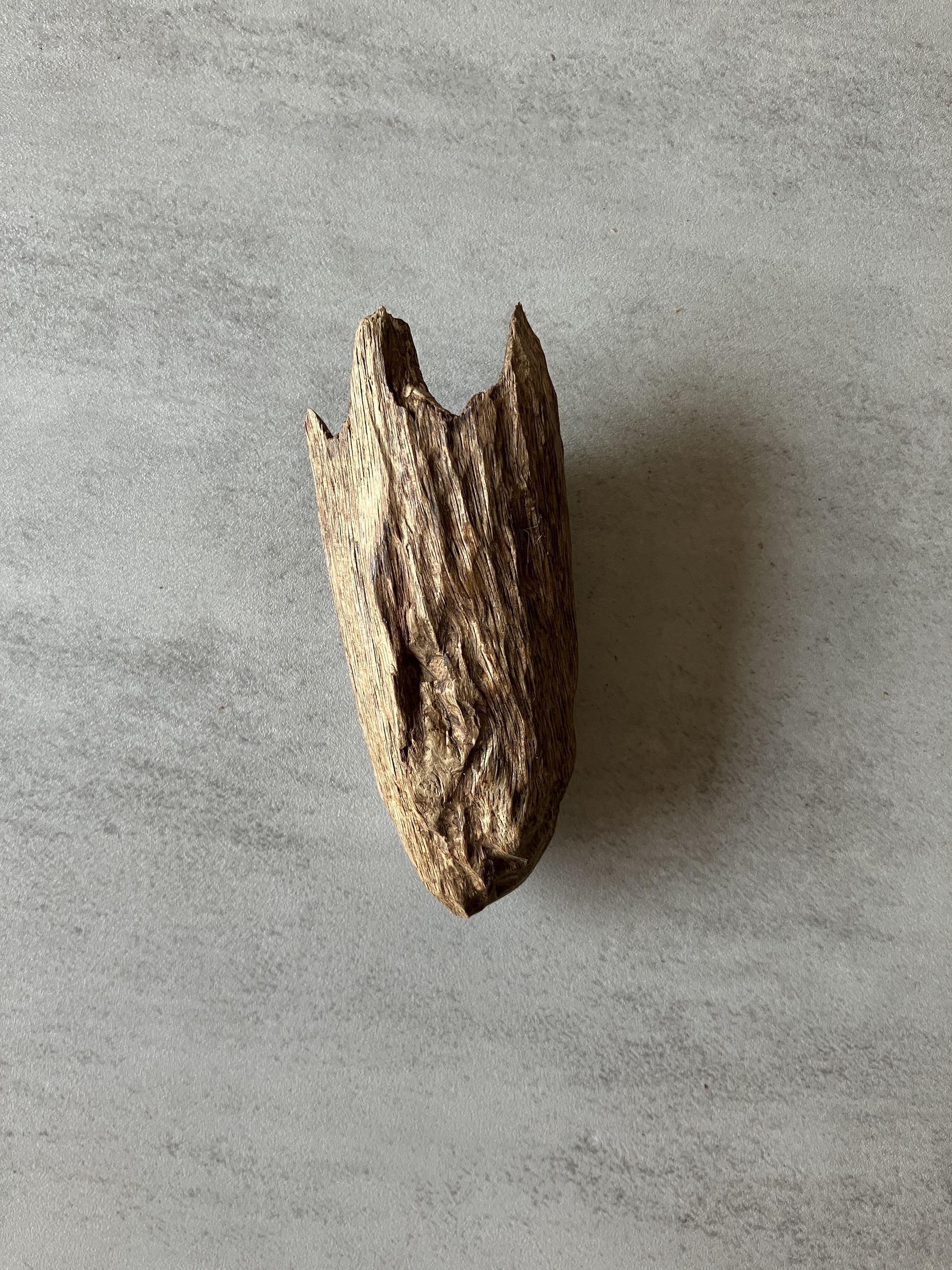 image_40D066C6-CC34-4C0C-A9CF-9777AE0A5C39_1774338264