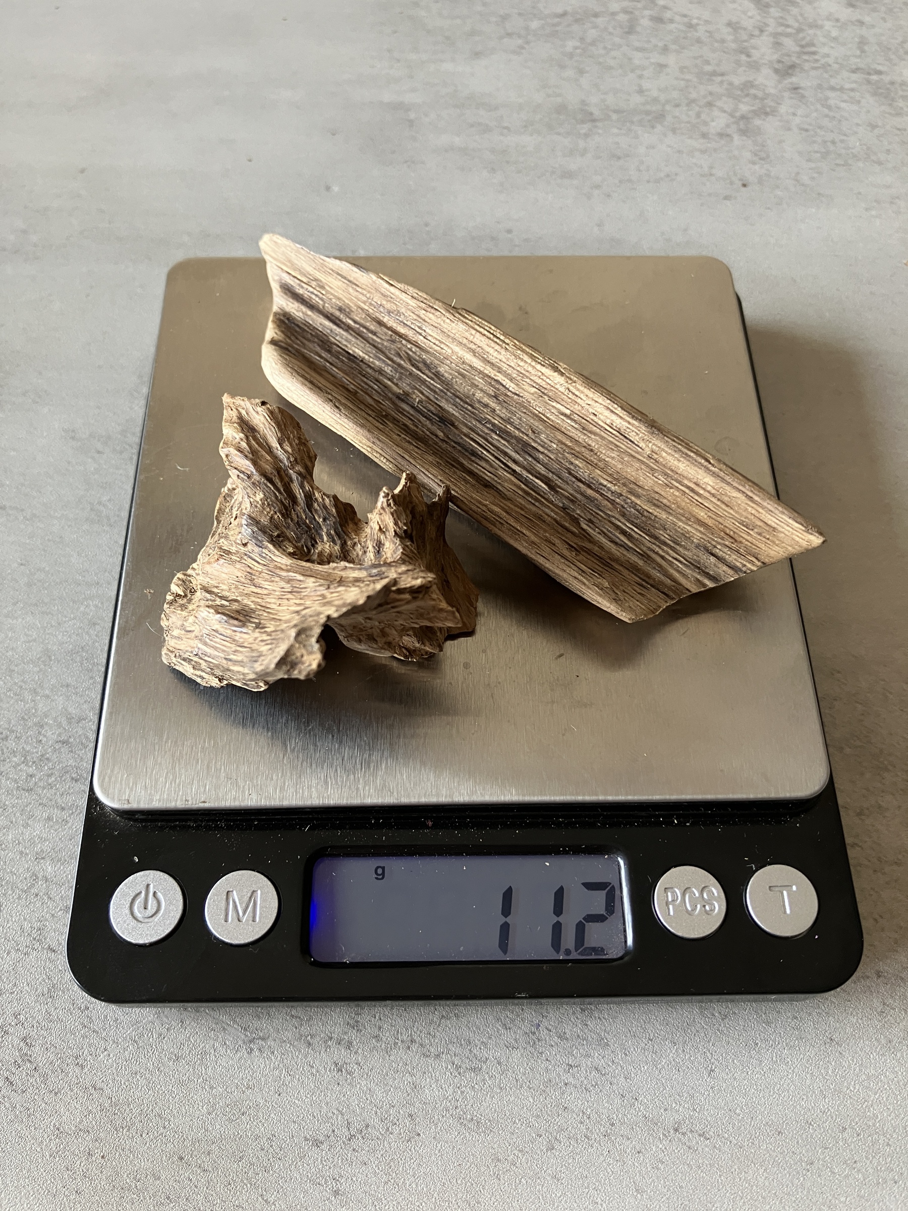 image_869506DC-5453-4259-BE3C-6294EDB2ED12_1774338412