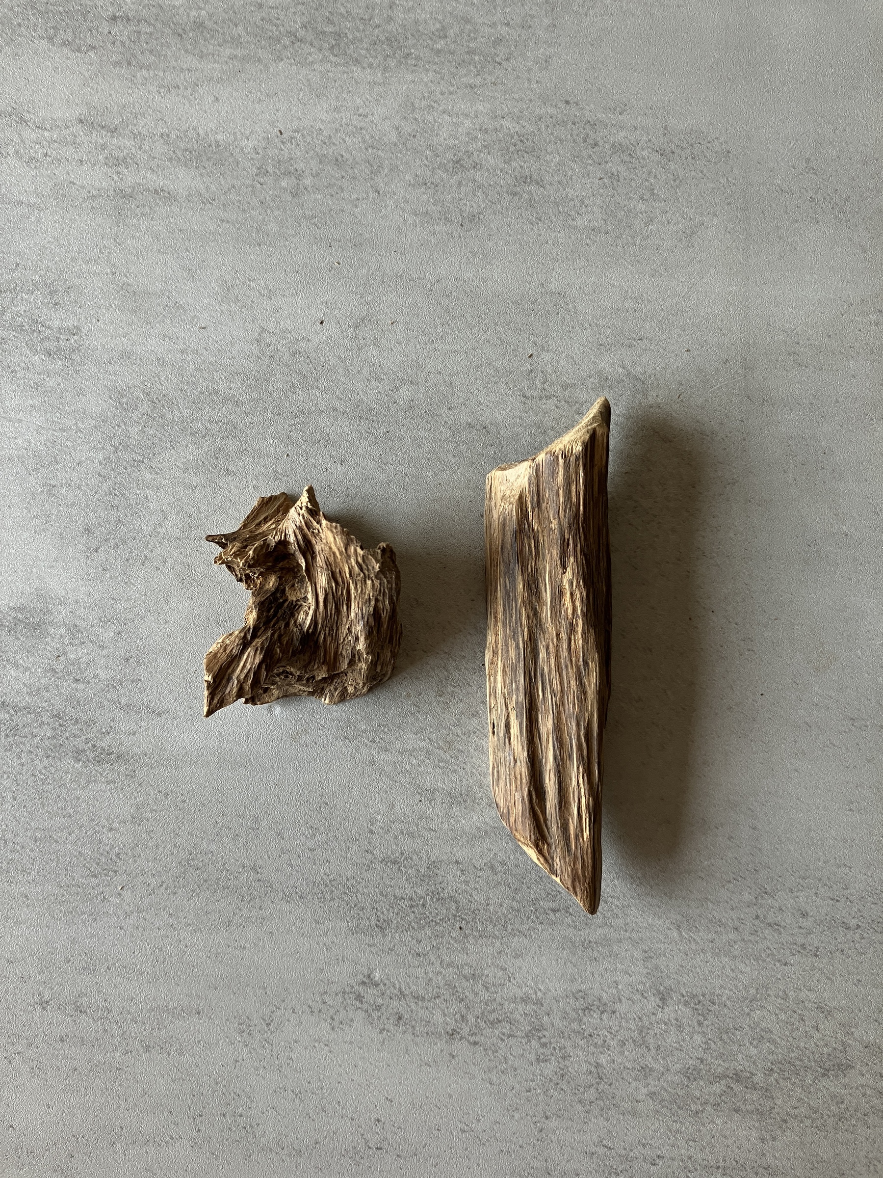 image_FAF0FCD4-1A34-496D-9E52-7E9177F82E4B_1774338412