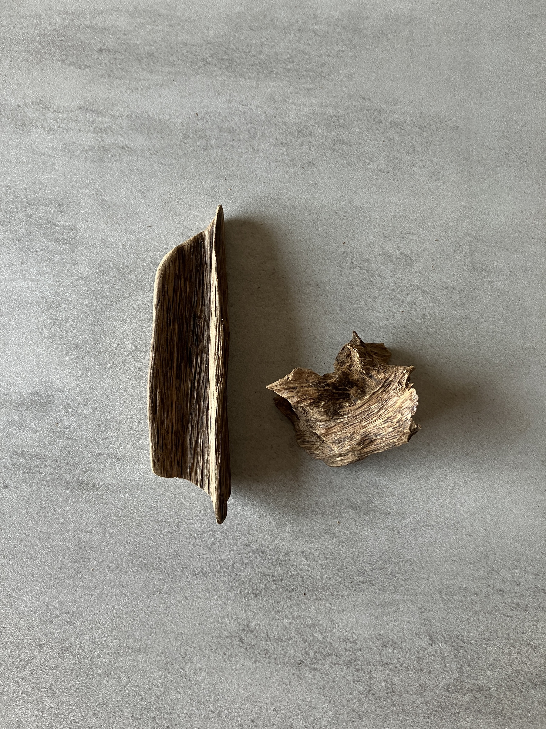 image_1FF930CA-990E-4DDD-B8DA-8A92924F3345_1774338412