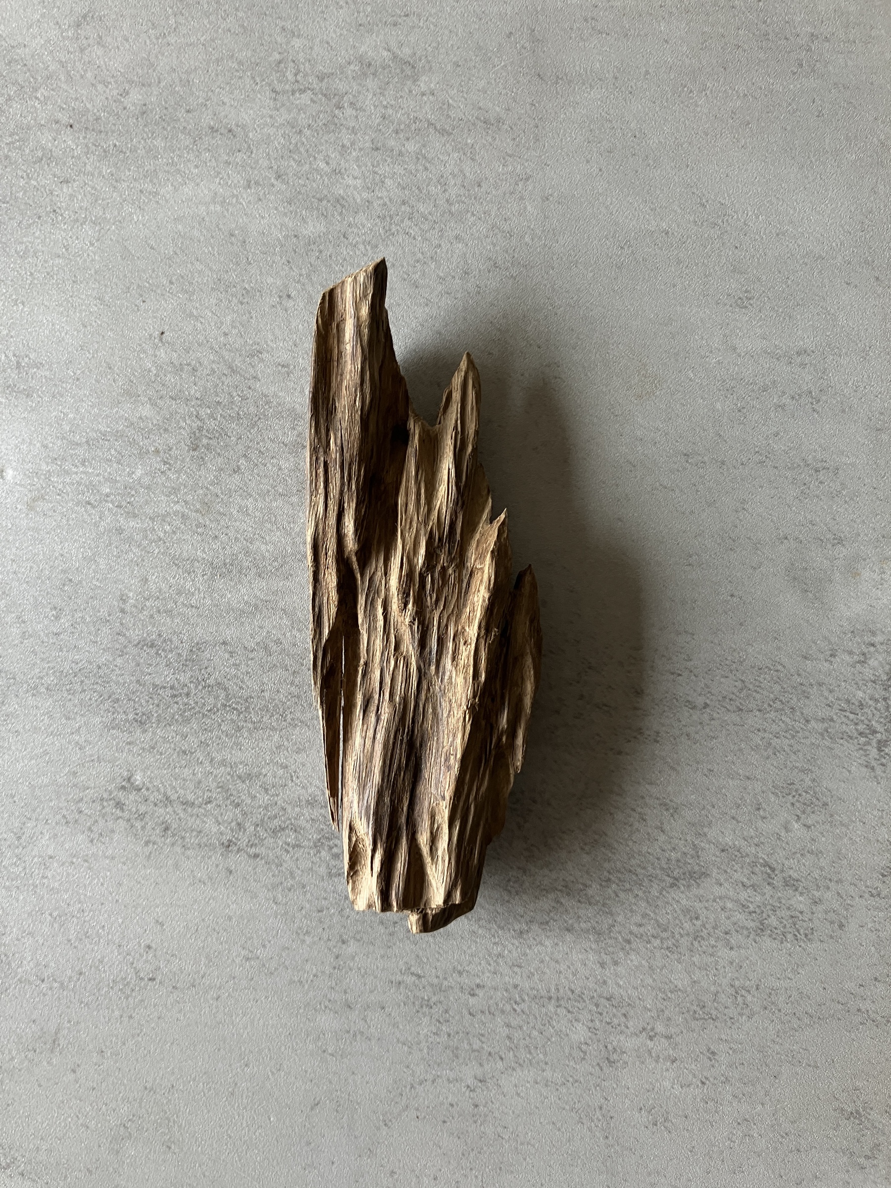 image_B1E3849E-0A29-4923-8AA1-34F4903CE494_1774338528