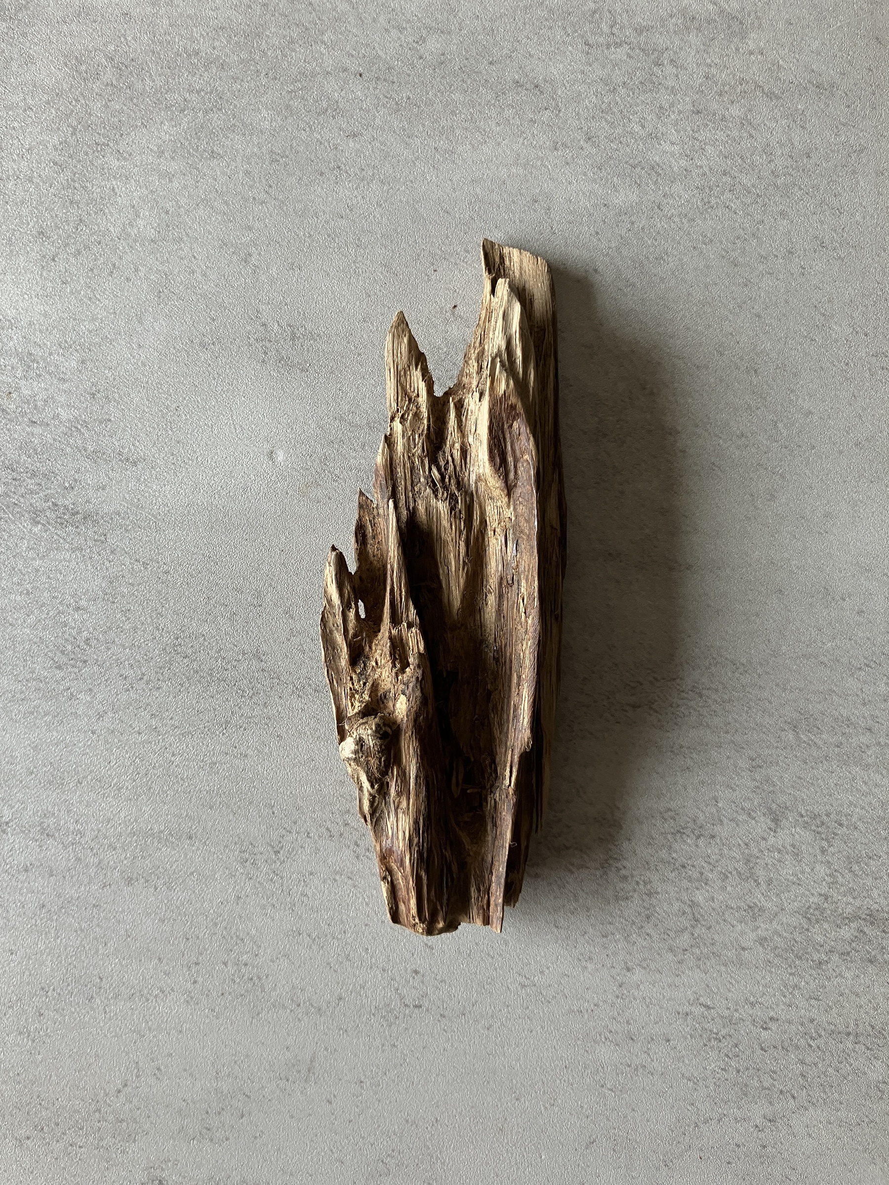 image_C5CC12AE-363B-4056-A6F2-03AFC3C71602_1774338528