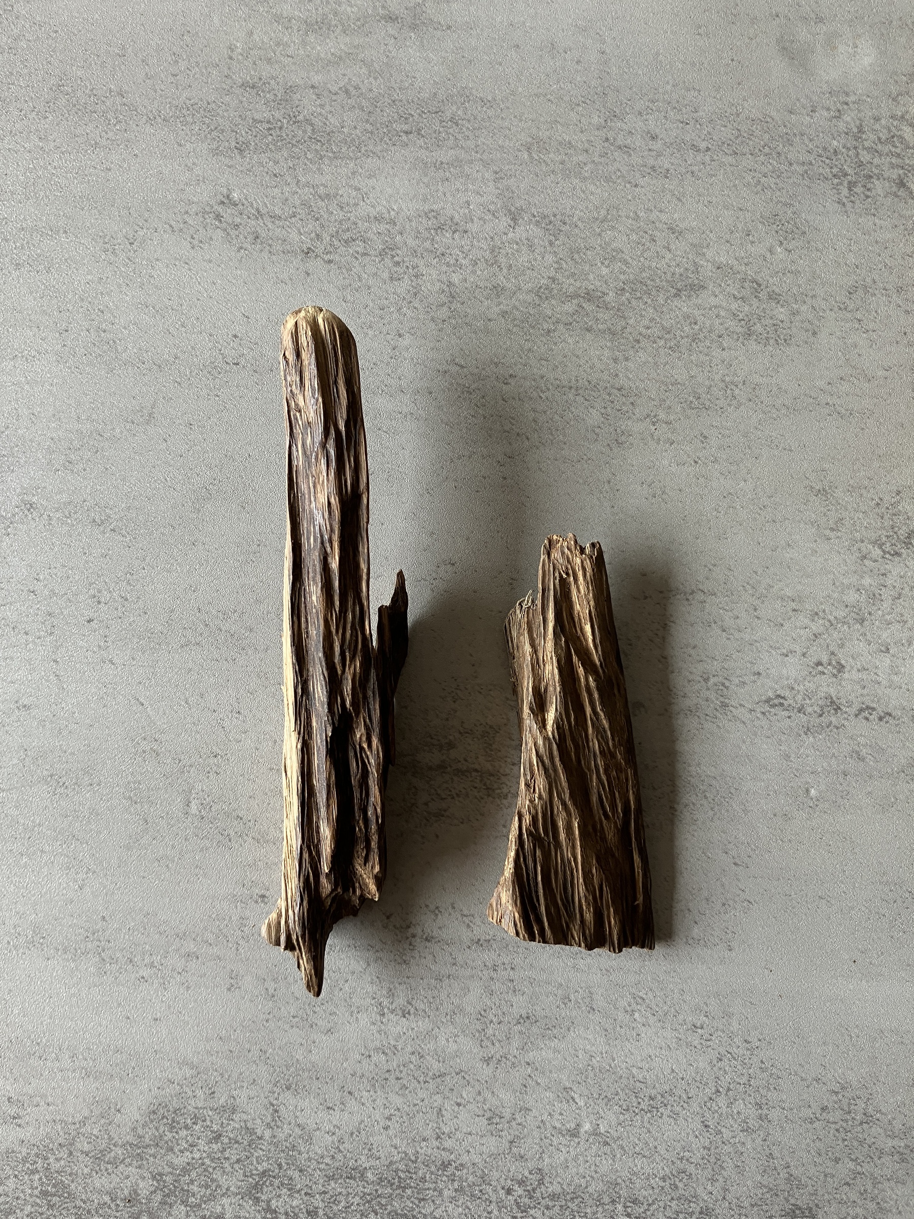 image_0E24B023-B240-4AA2-8732-E2A008BACA5A_1774338701