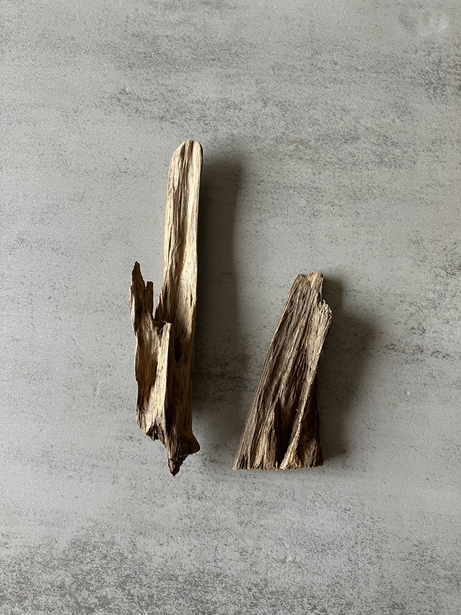 image_6BB9788C-5418-4E6E-B864-215A636C5D50_1774338701