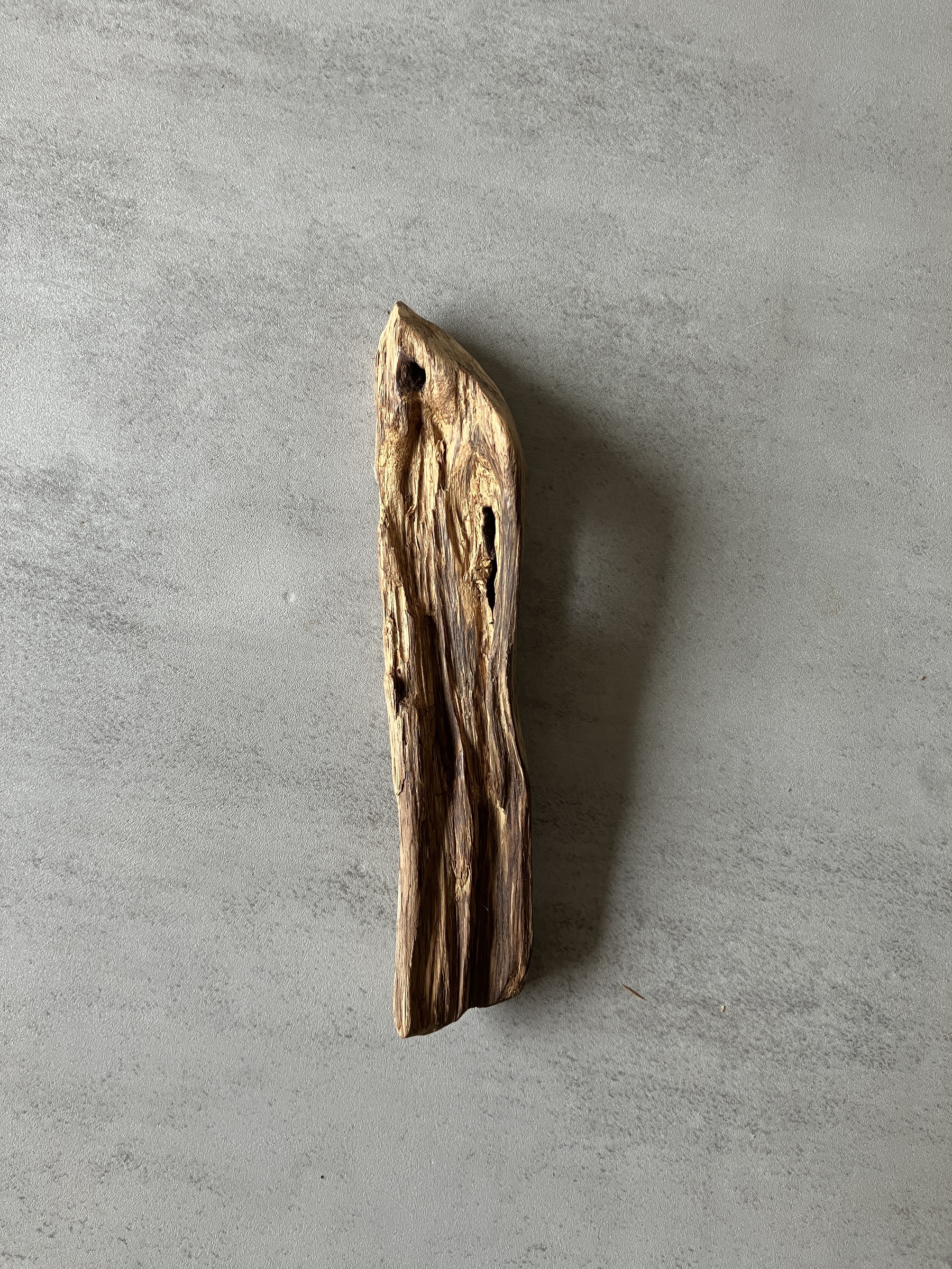 image_1EB3639F-42B7-4868-86F3-F465EDAF53FD_1774338840