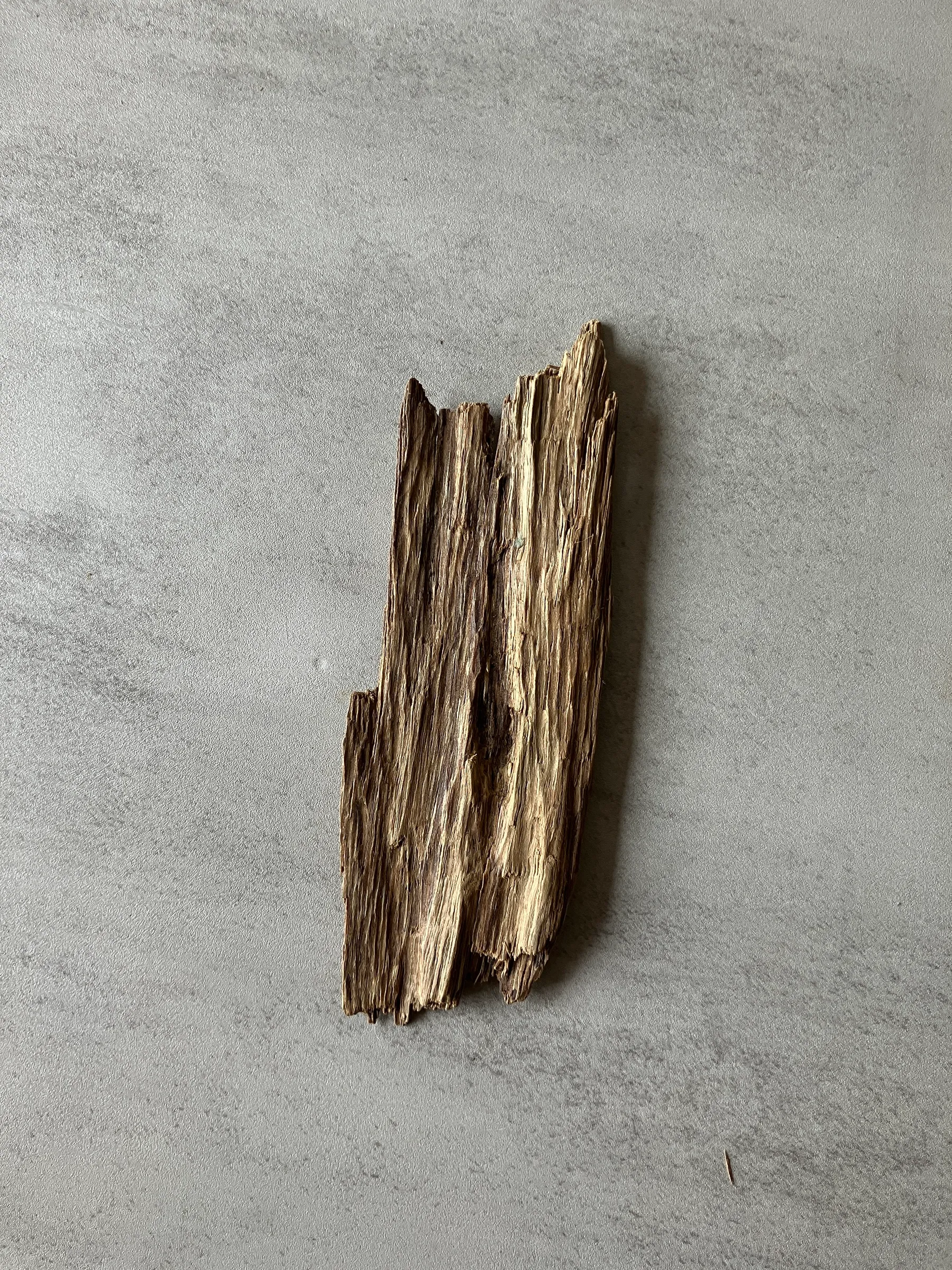 image_B6C36375-6F09-47FC-886E-E3ED5DAA394B_1774339057