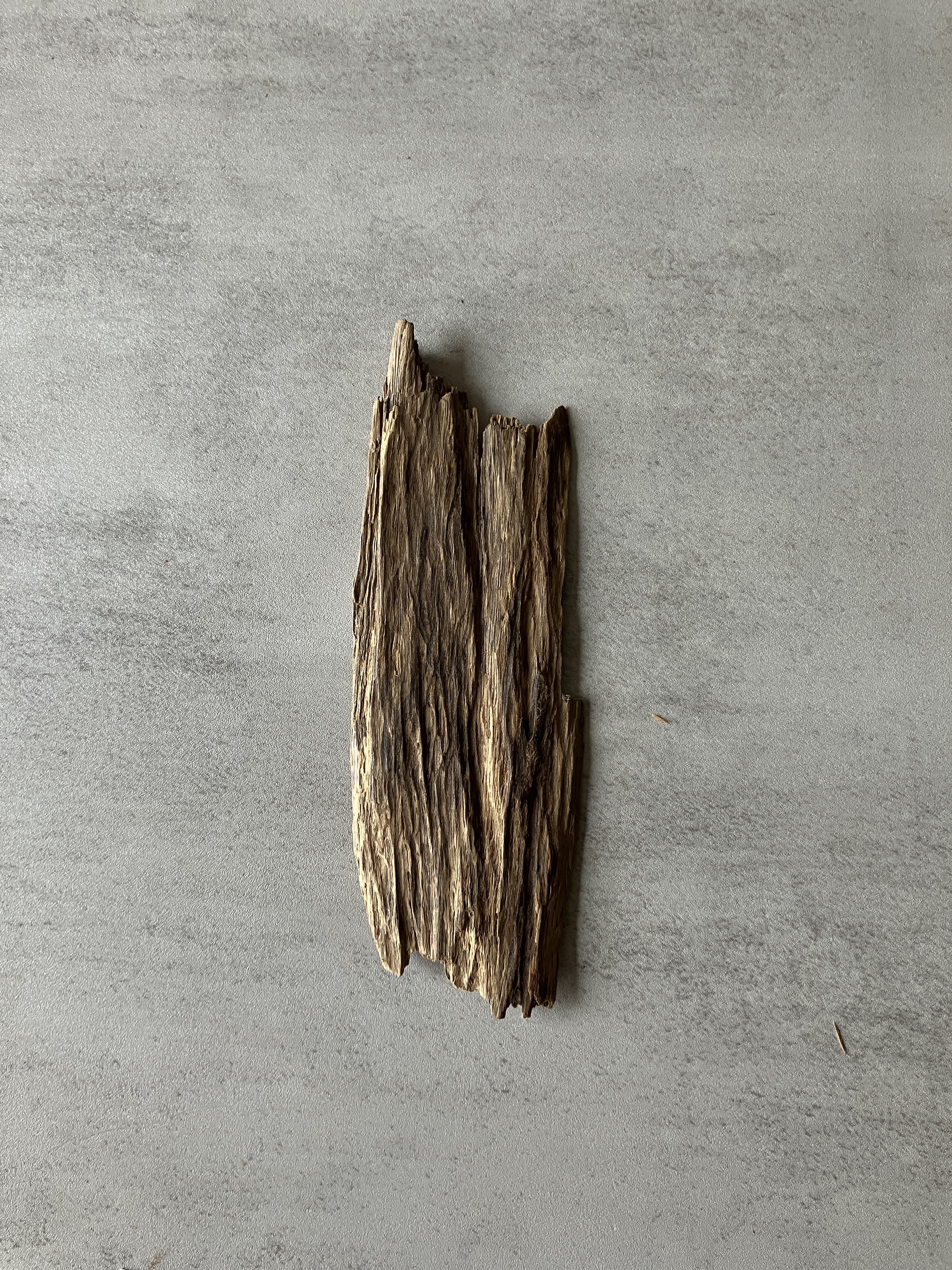 image_156E46F8-A16F-47DF-AEDF-6D5DBA6AAD99_1774339057