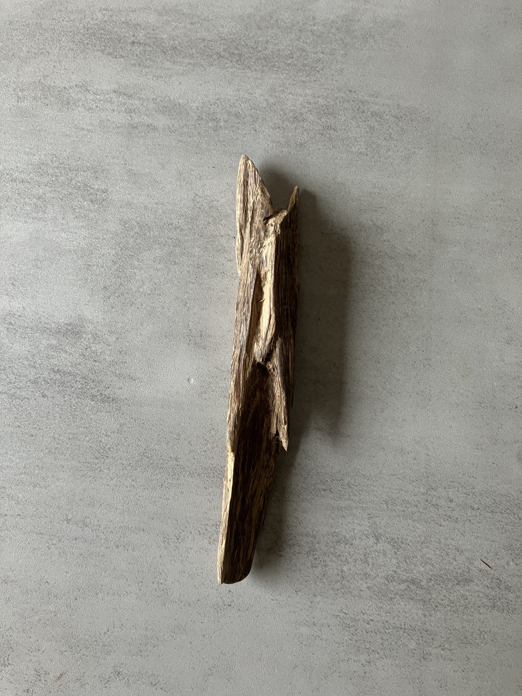 image_40879B39-C0F9-4638-93B1-A5B75A685B84_1774421538