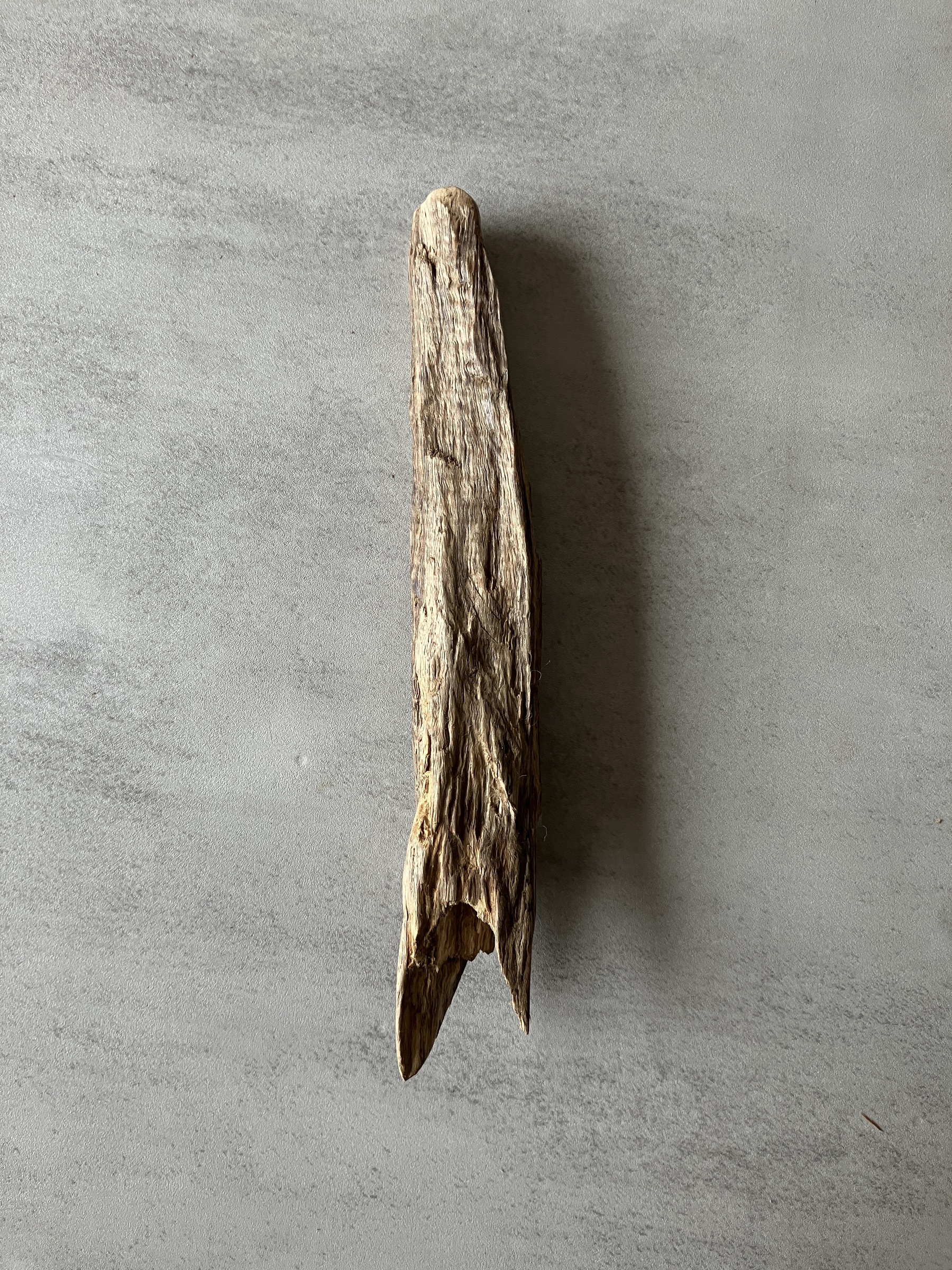 image_264C7FFF-4344-4DD8-A76A-0F197235E64F_1774421538