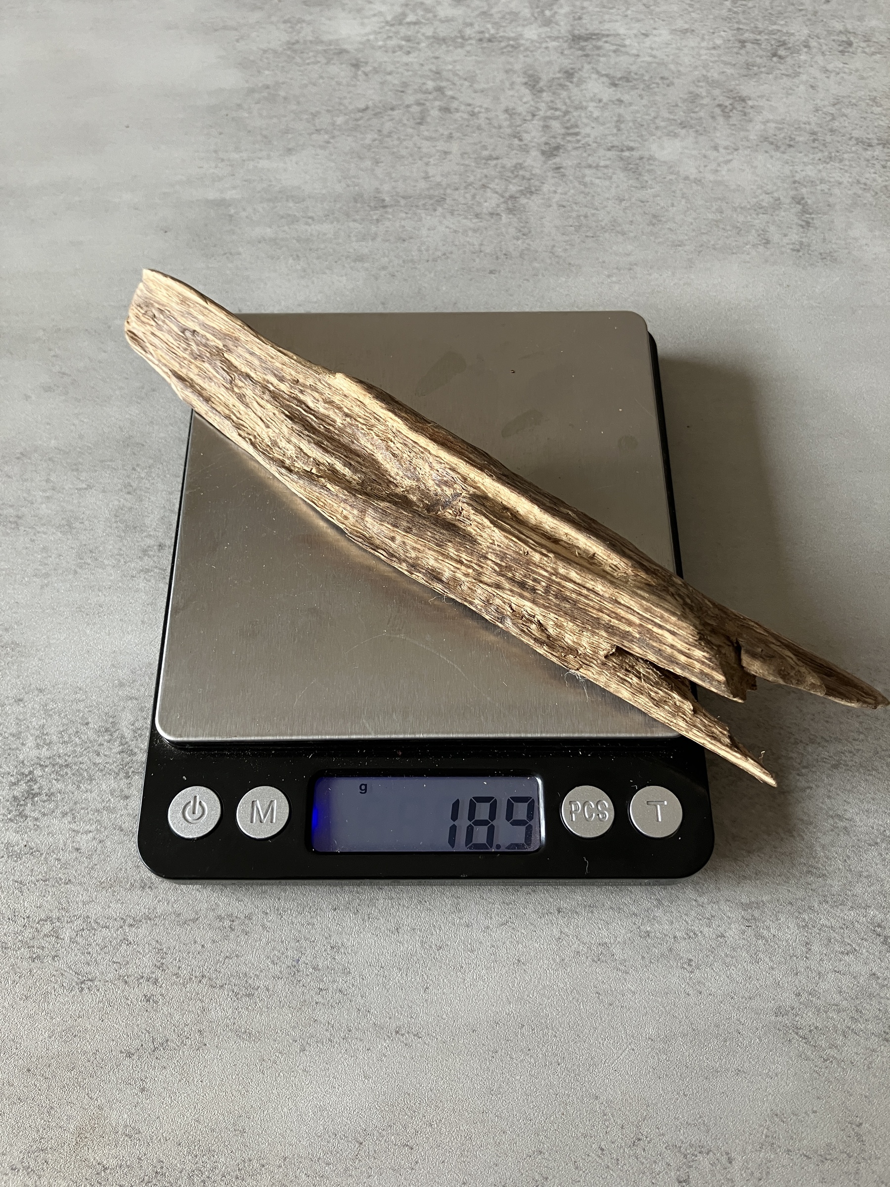 image_1BD1AA55-8D43-450E-9509-0774D84BEFAA_1774421539