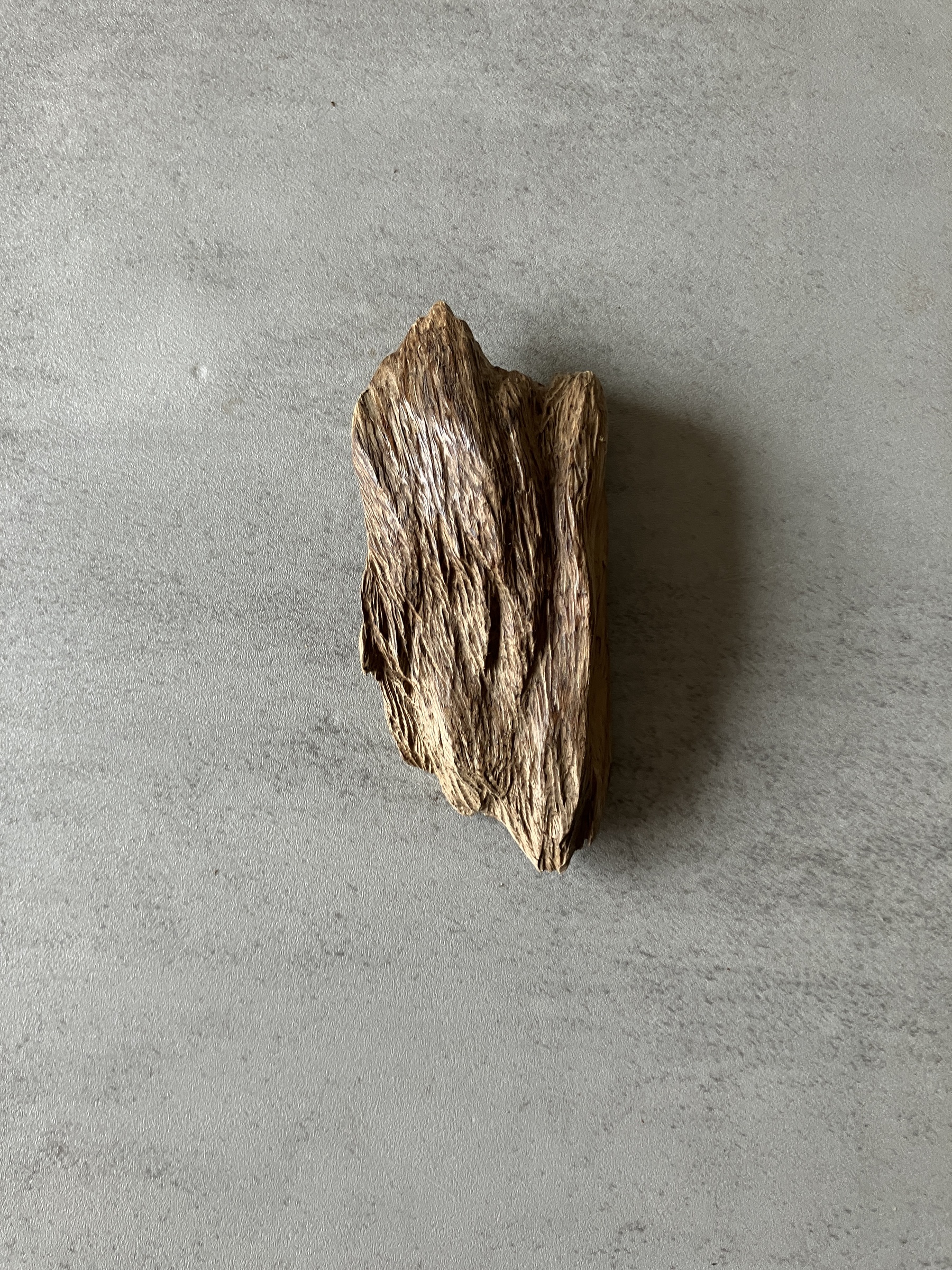 image_5209B626-F64C-4E07-A649-30609D25AFE4_1774421680