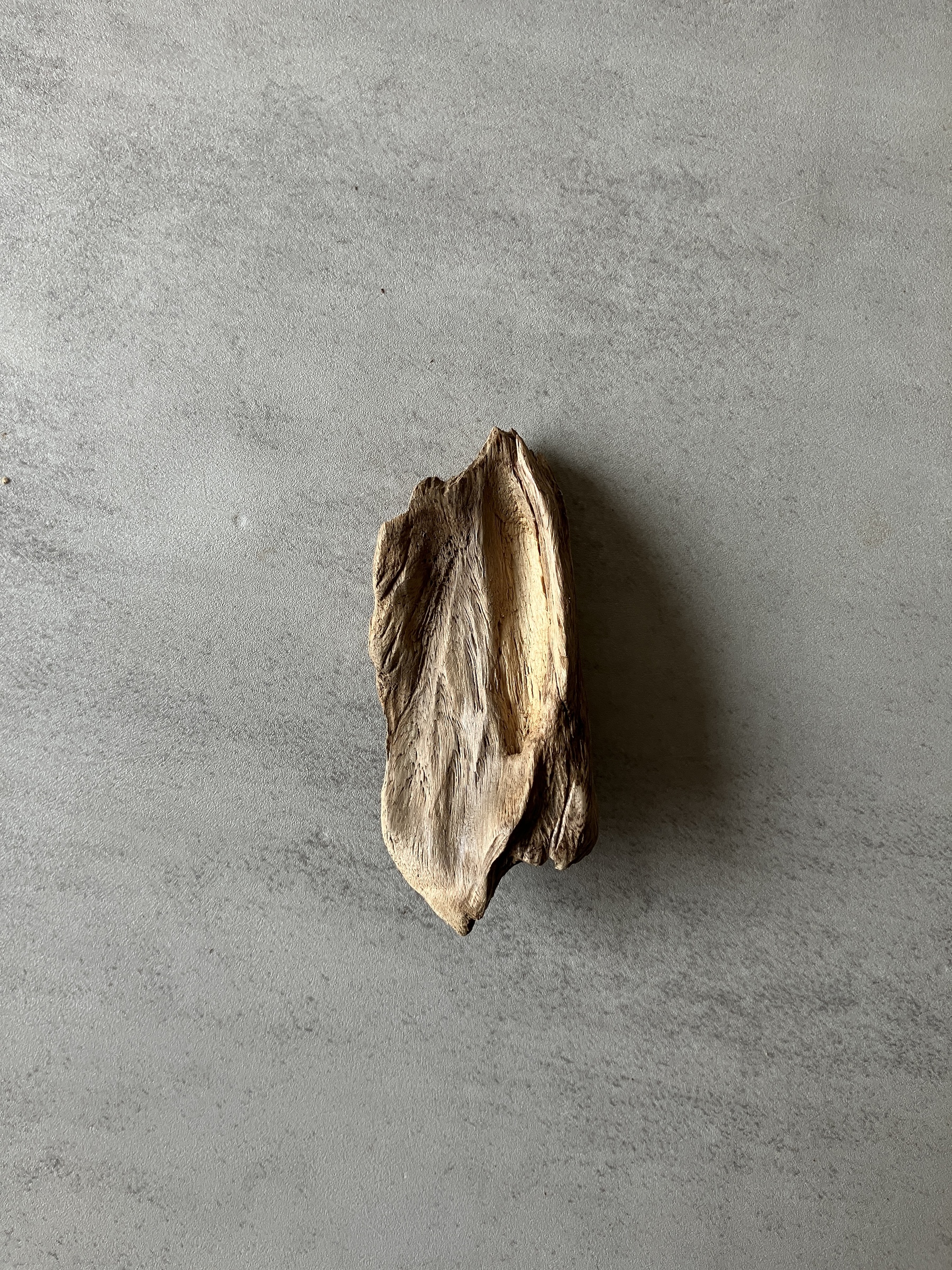 image_FB9FDCA3-44C7-4382-966C-BE014918AEAE_1774421680