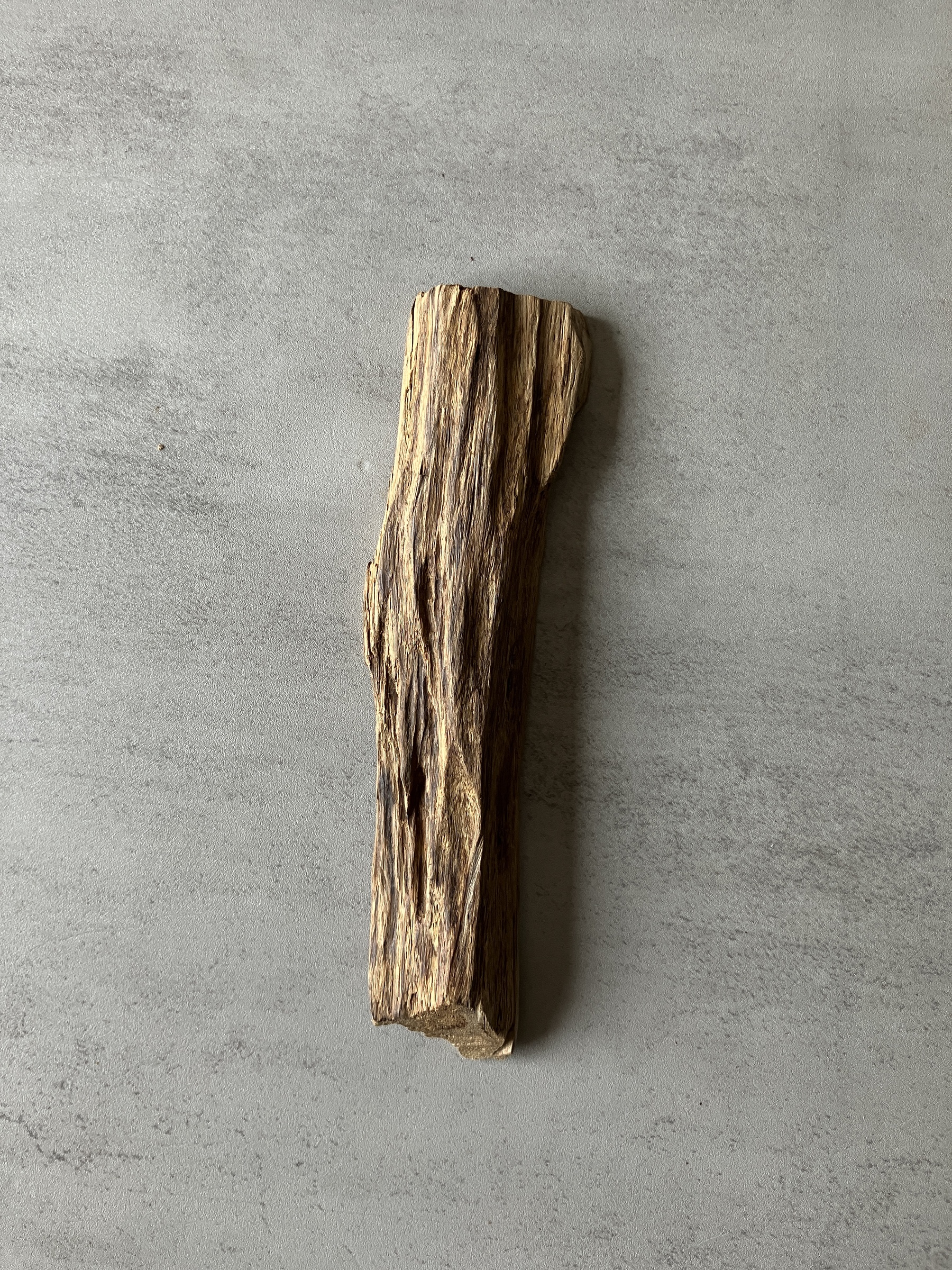 image_5FF263E8-8B14-4EC8-8254-9FB7BD99E397_1774421777