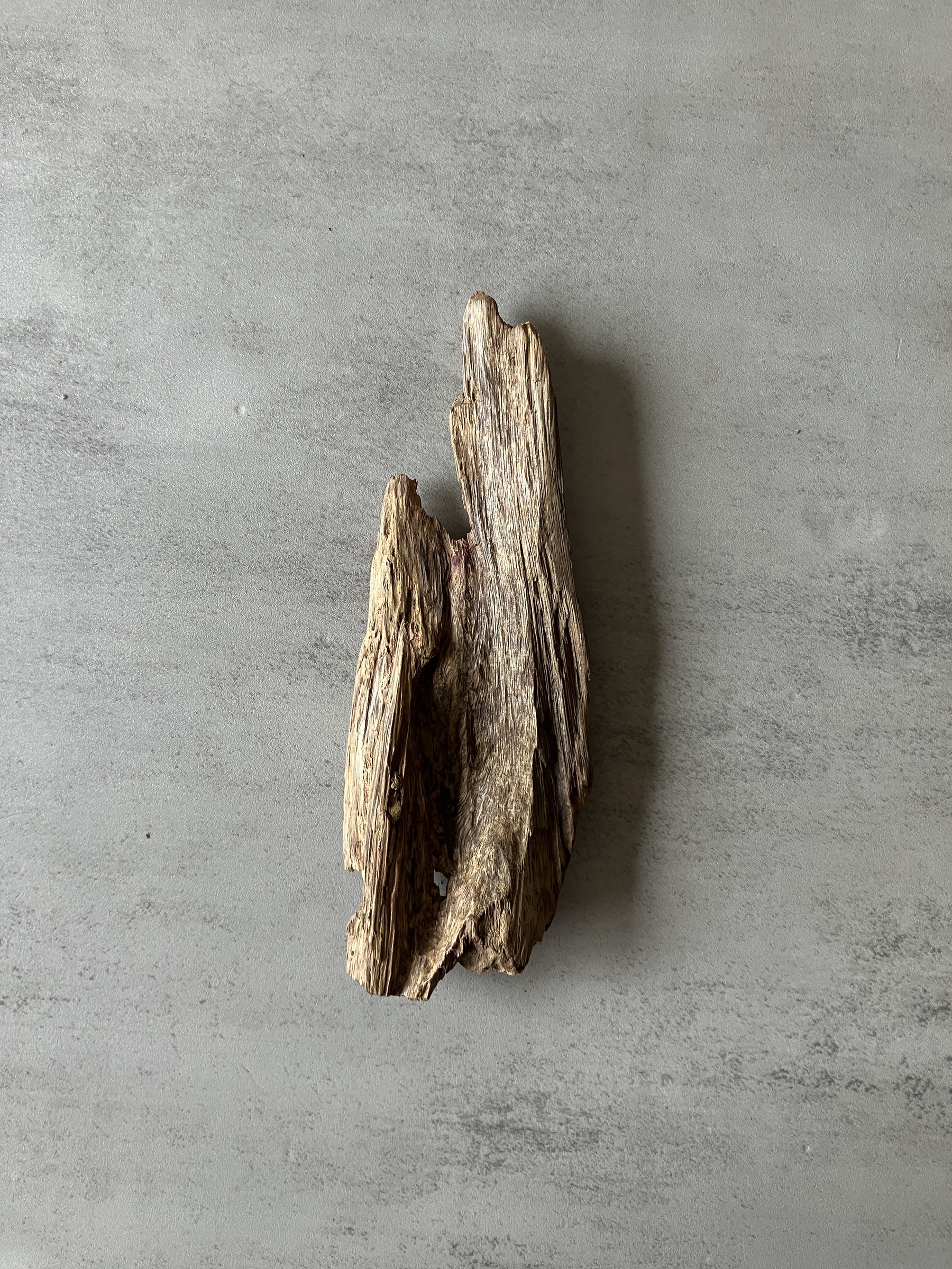 image_B8BCA542-4DCD-44E3-841E-BFF29124D656_1774421877