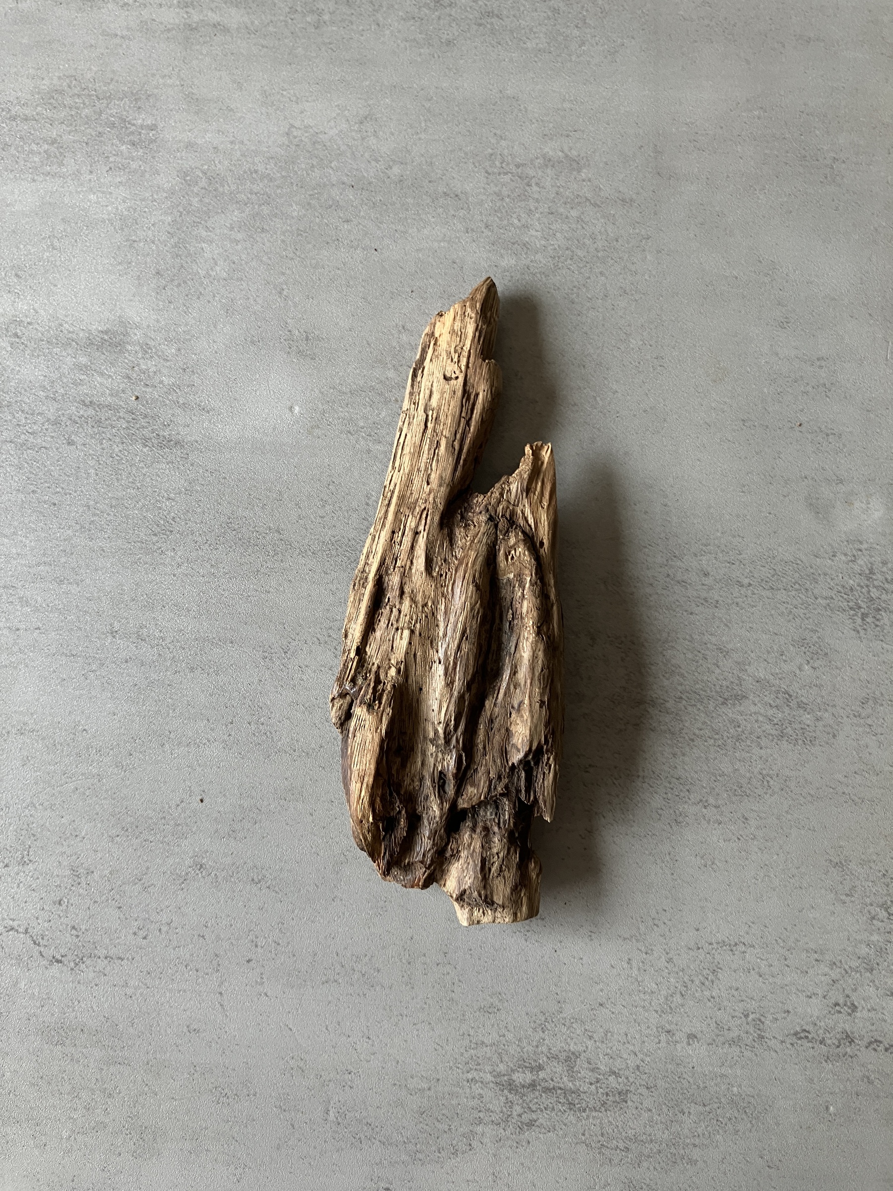 image_445875CE-B2FA-4ABE-9069-D2EFA7DD3649_1774421877