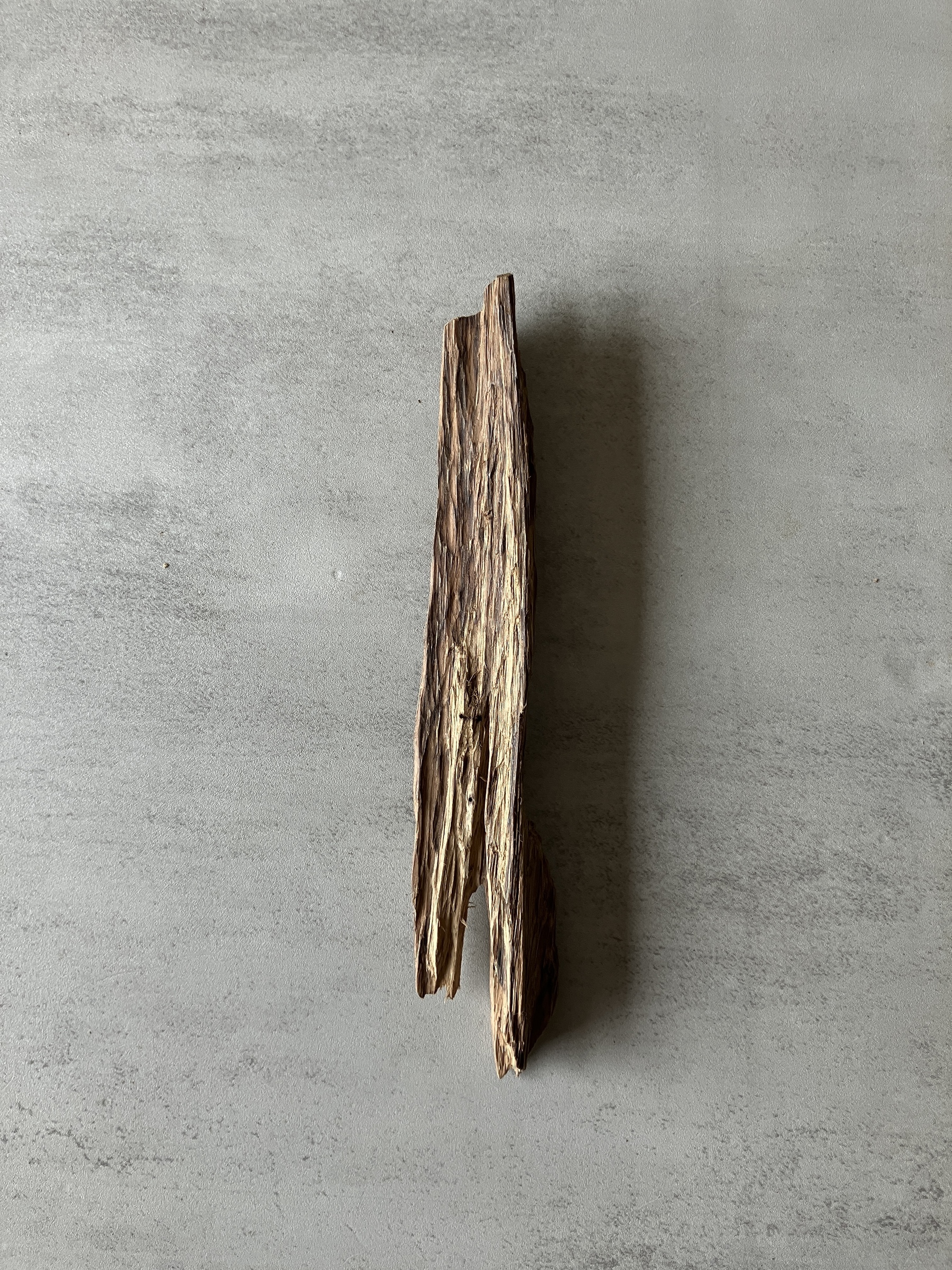 image_C7914710-4F48-45FF-AAD4-B1AEB7CC6909_1774421986