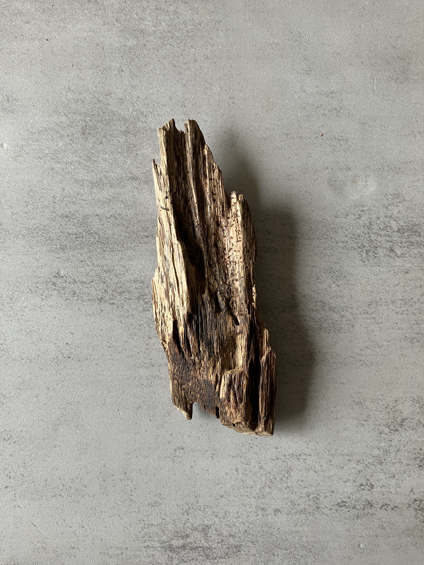 image_C8387ACE-6A9C-4ABD-A681-90FA4B7A5871_1774422340