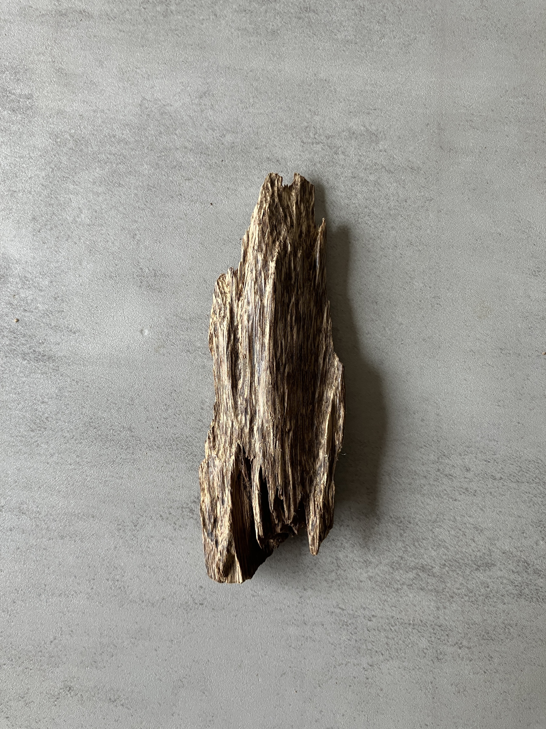 image_A415FD84-4449-44DE-B39A-483602A757EC_1774422340