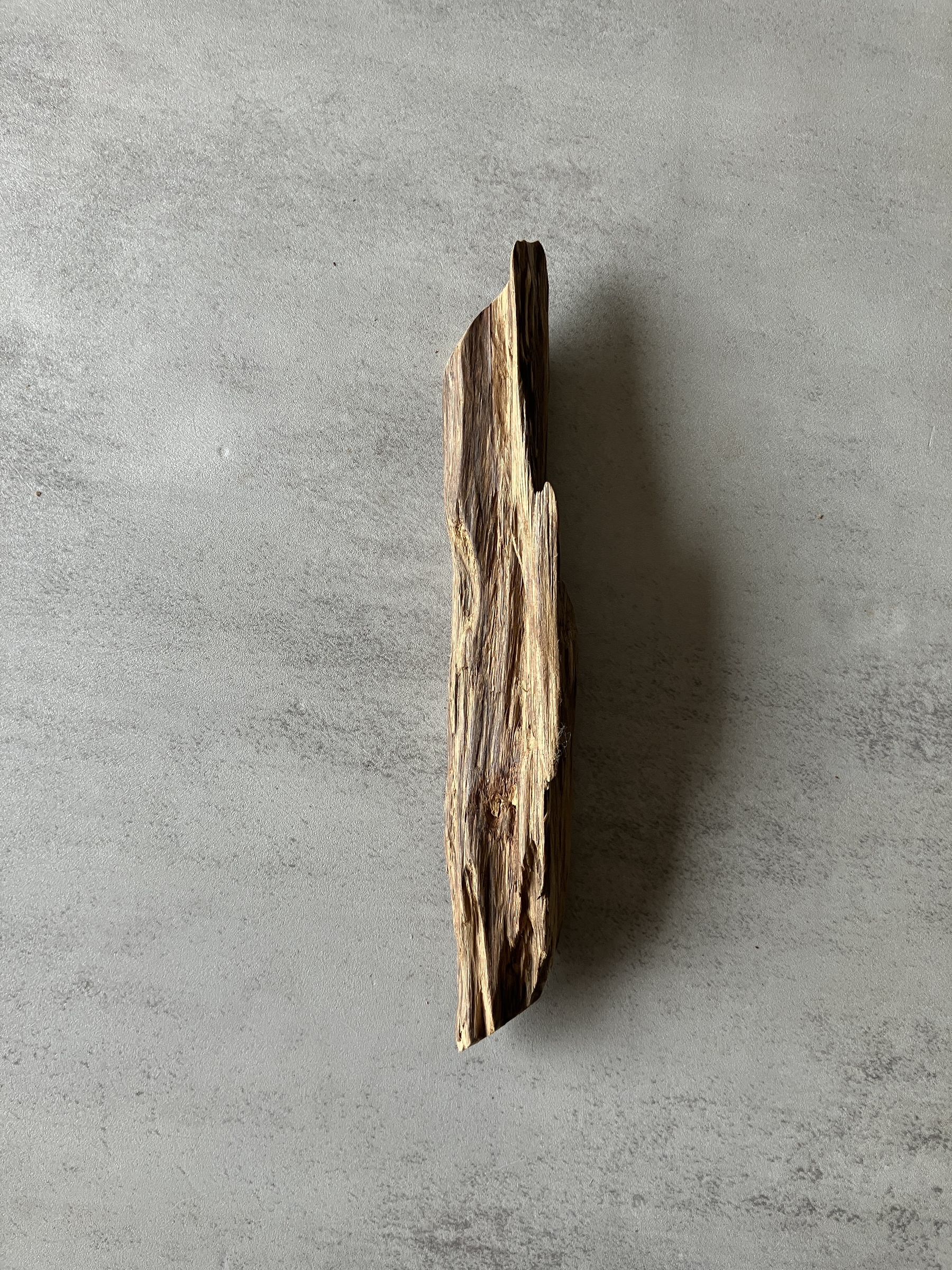 image_0C795BBD-619A-4DB1-B739-1569CCC60E8C_1774422472