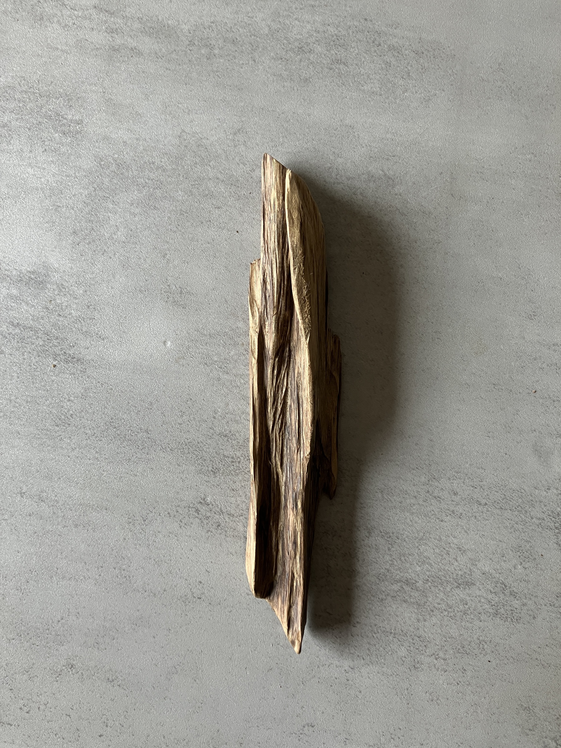 image_81B1240F-9604-4BC3-9D04-A62882A32DCC_1774422472