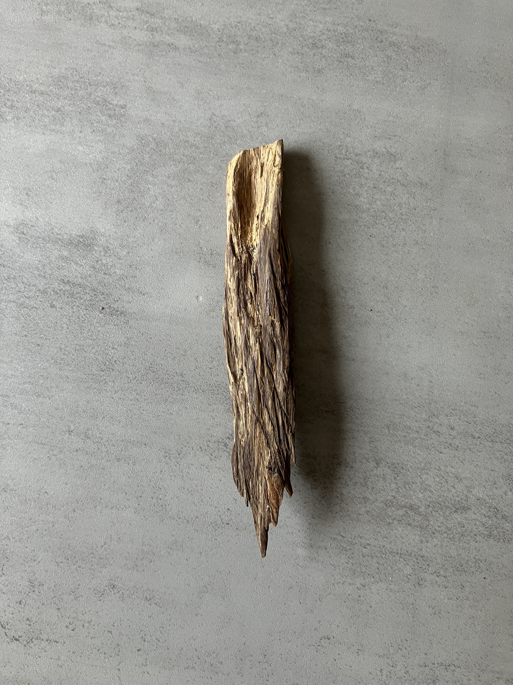 image_0C4DBEE4-175C-40AD-ACFD-220AA0AEF0C6_1774422598