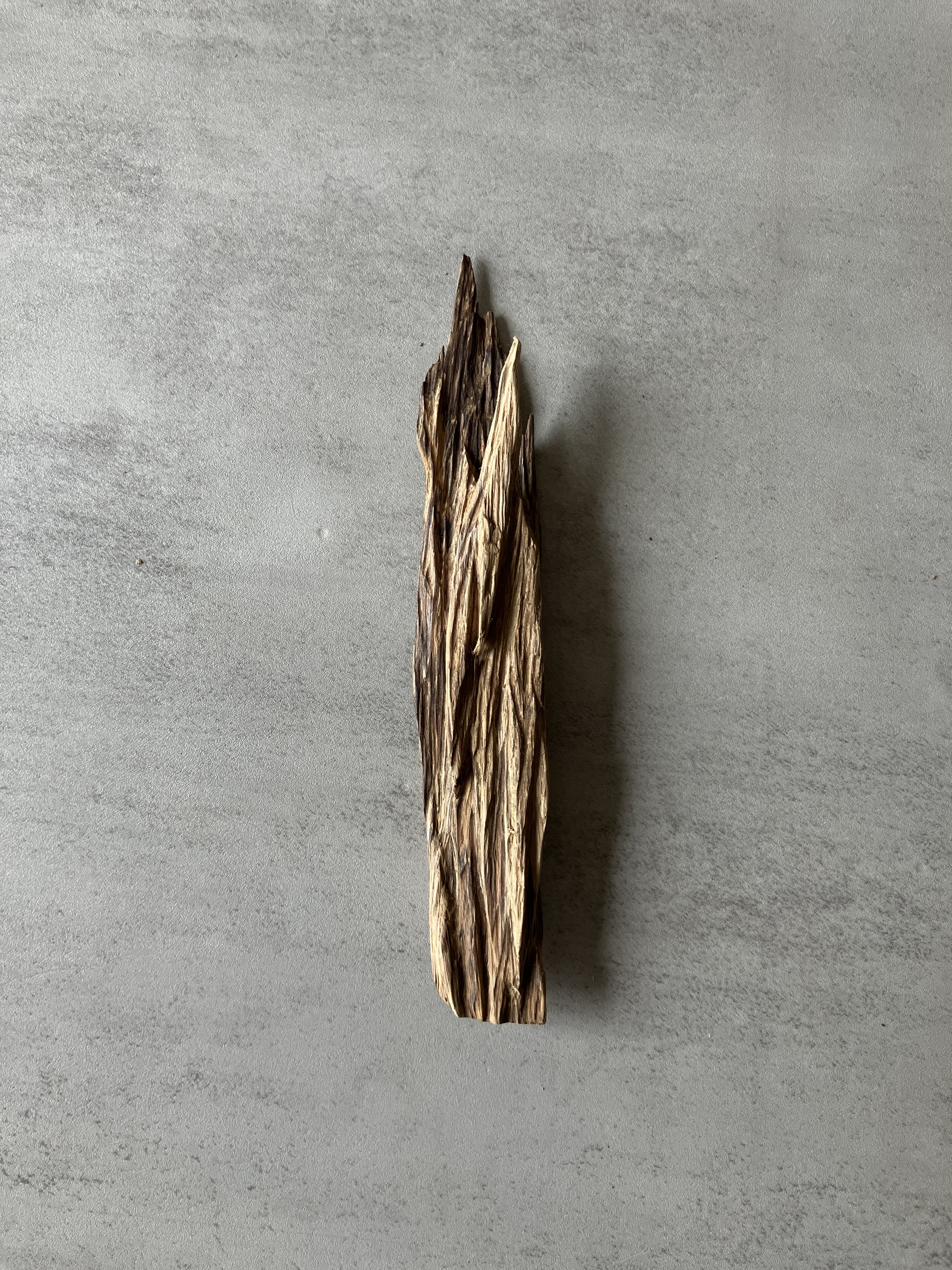 image_E808524D-CE9C-486C-A9F7-A5B056726F3D_1774422598