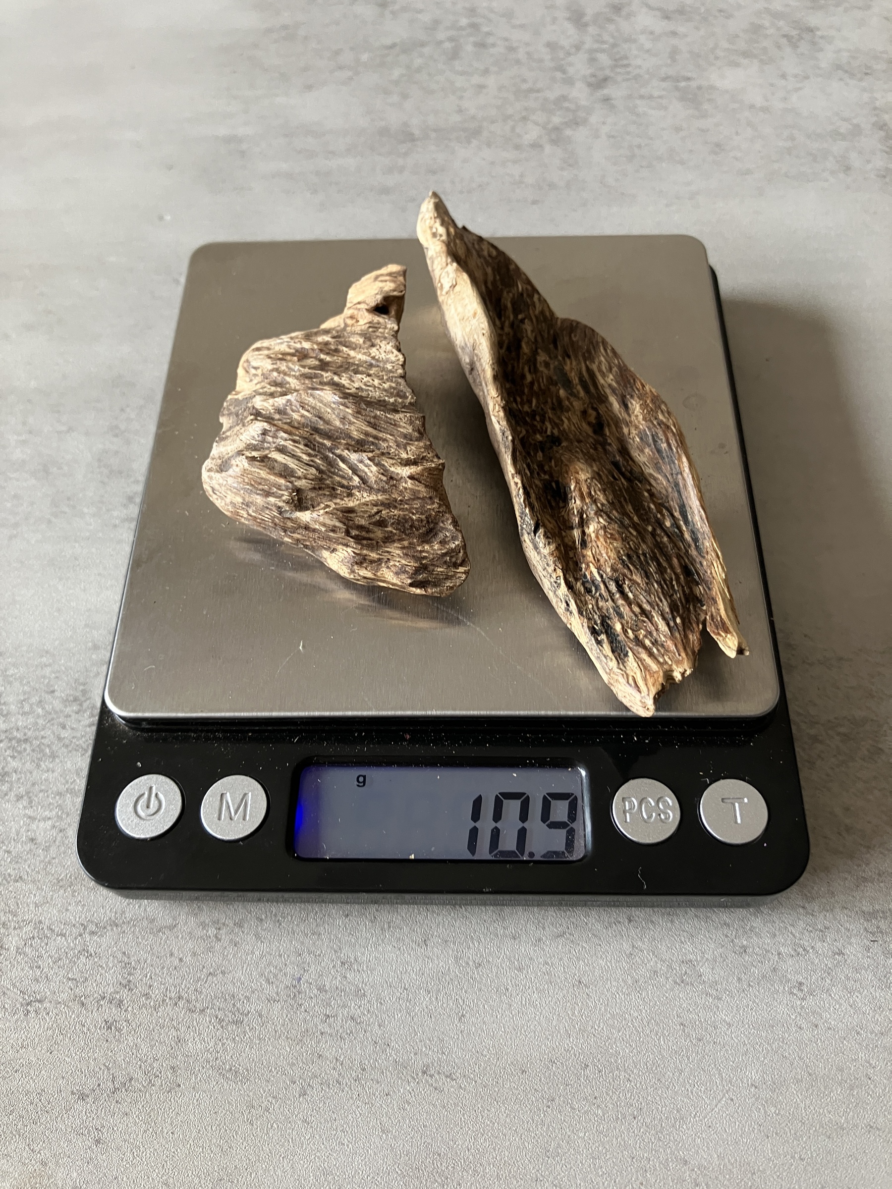 image_884BEDA8-2E16-492A-A92D-BCE80BA0F711_1774422730