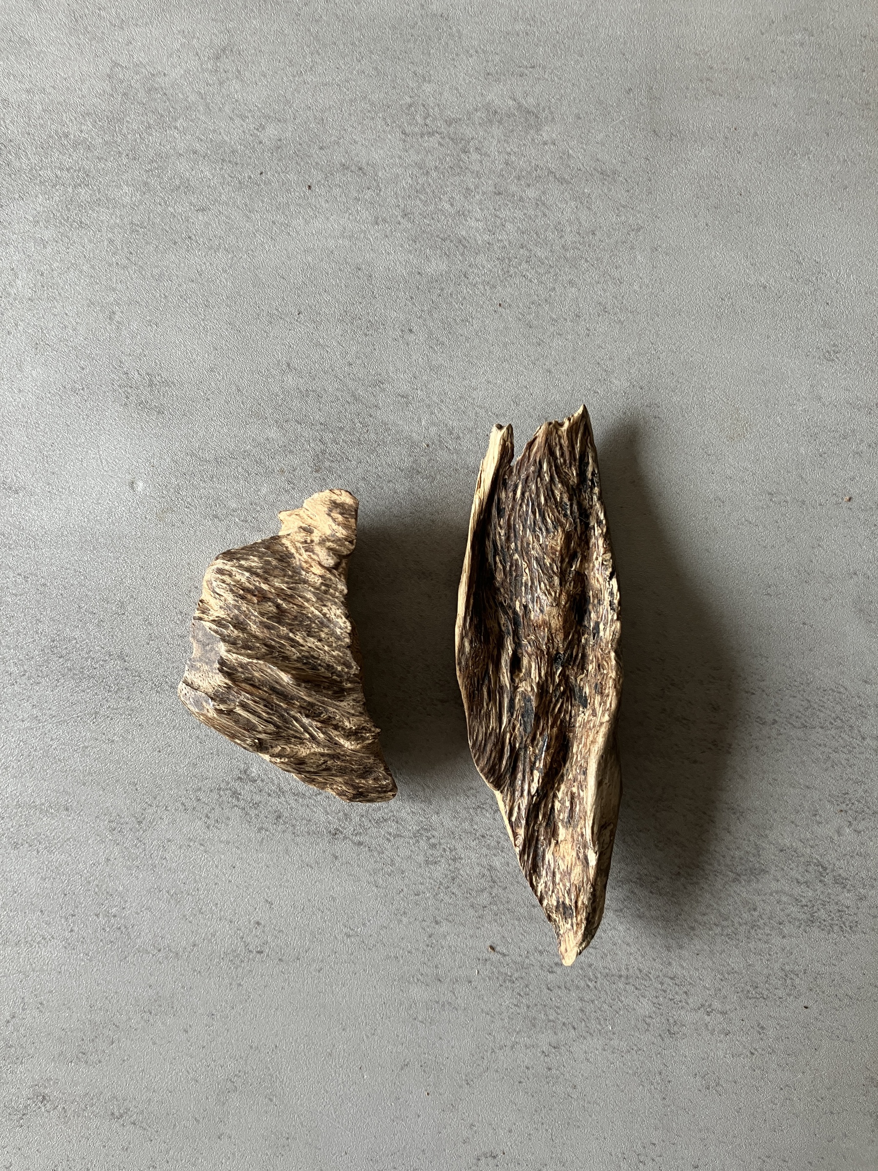 image_F7841AF9-D4BD-4322-8C82-BE20B196F2BE_1774422730