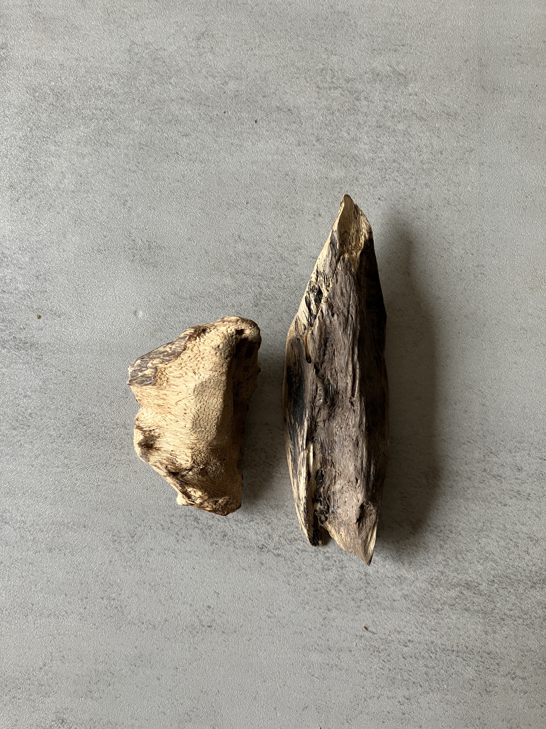 image_E4F02DEE-DF7D-42DA-A2D7-D8288703BDC1_1774422730