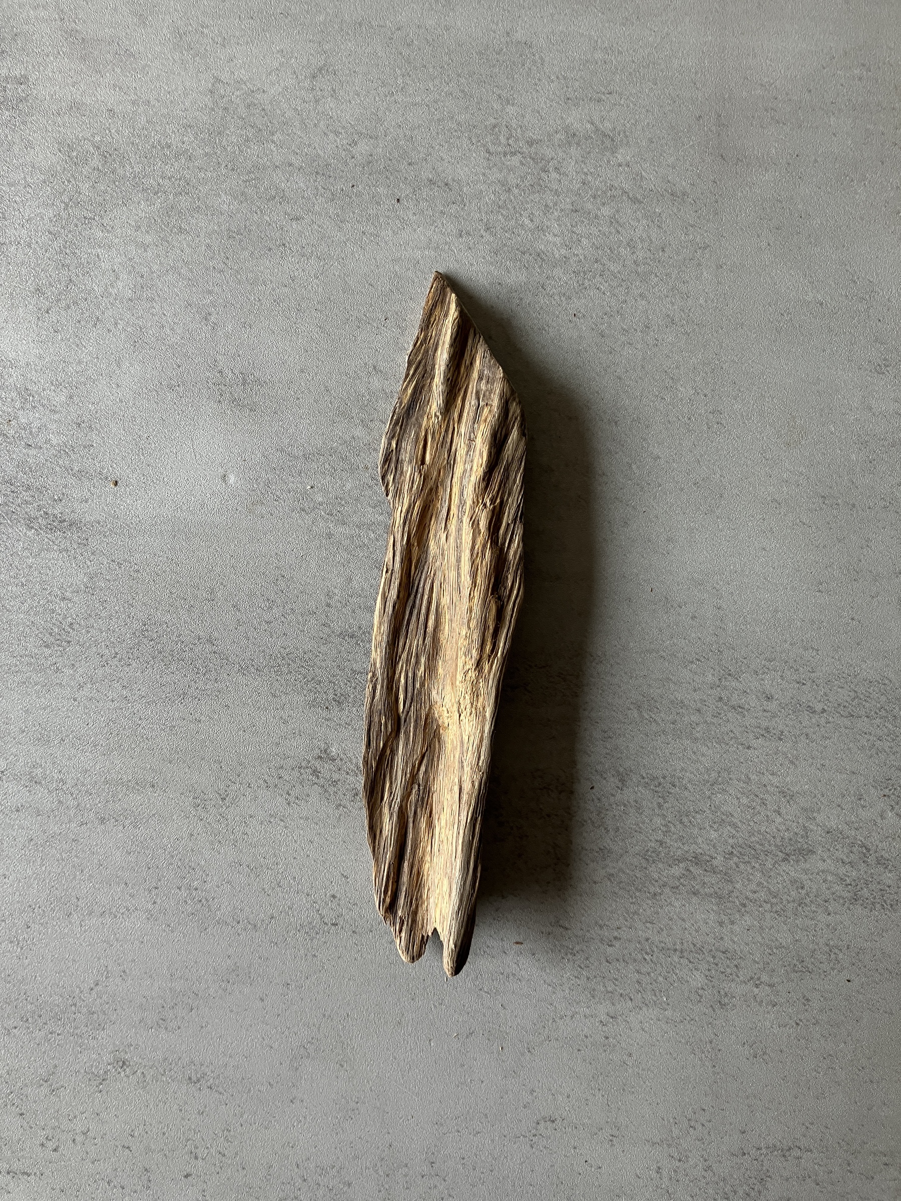 image_B492CA74-6D0A-4198-81AF-27CB65DE7604_1774422880