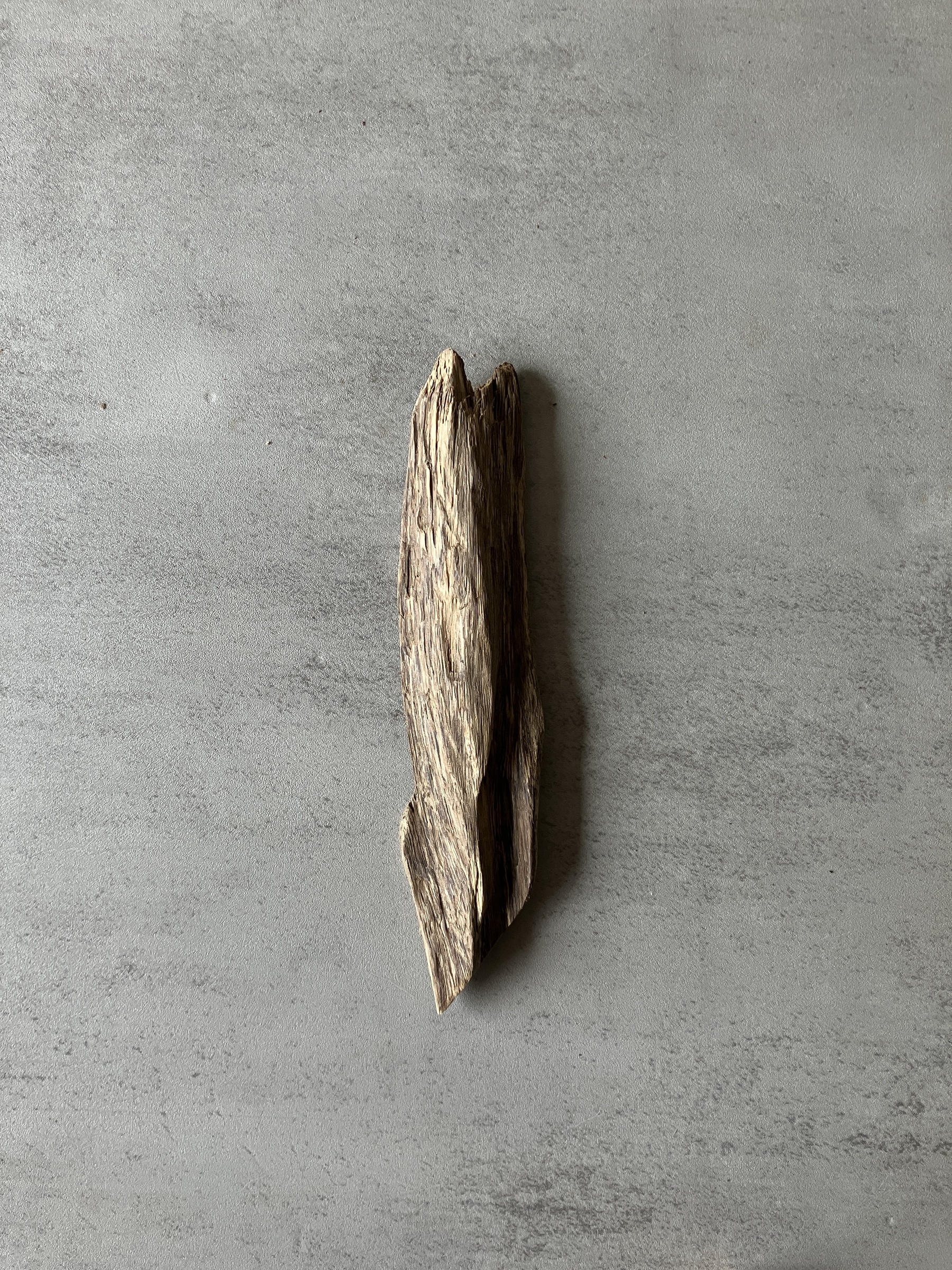 image_63A87C67-5303-436B-BAA7-FB32814D8F66_1774422880