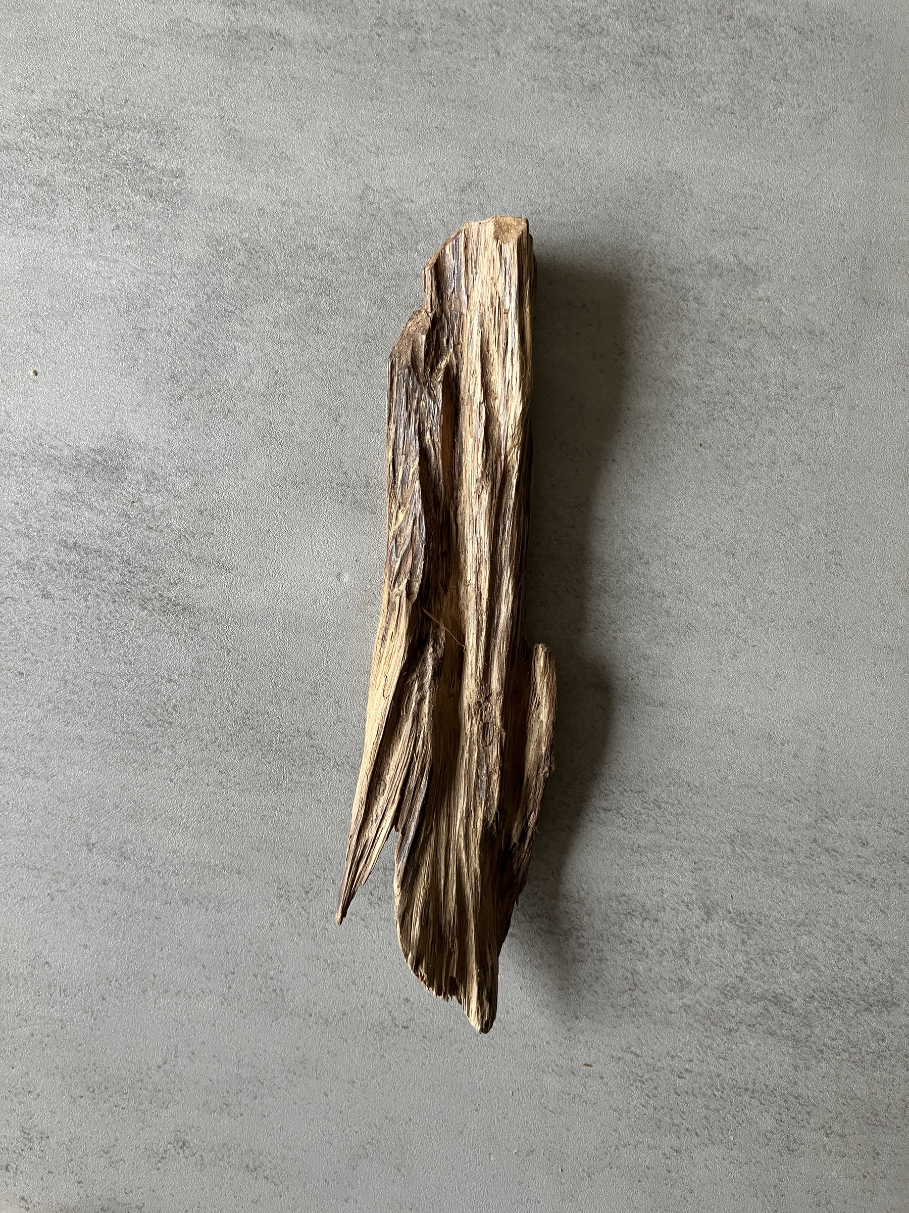 image_28A451BC-CEA4-4F82-9C86-49F6057D721D_1774423001