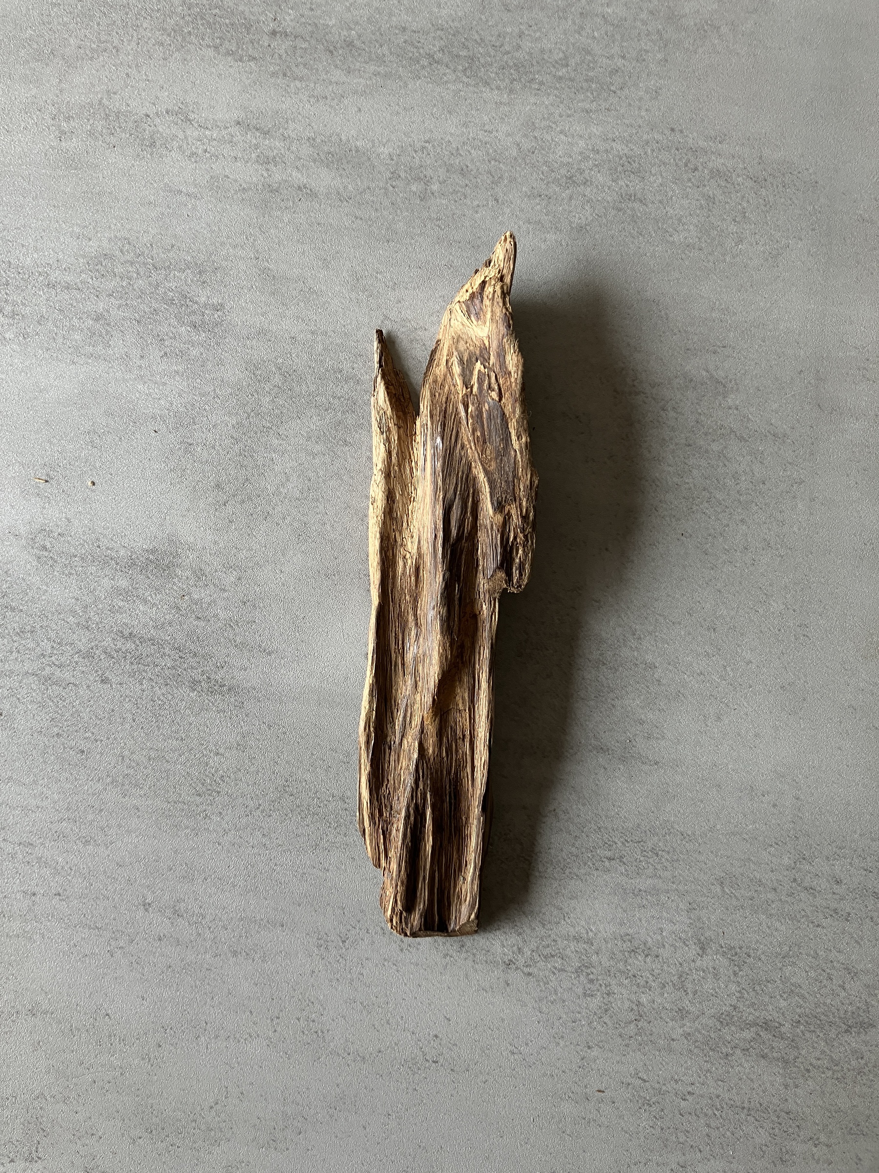 image_B3E752B0-F355-4BCC-A137-4244005F2B88_1774423001