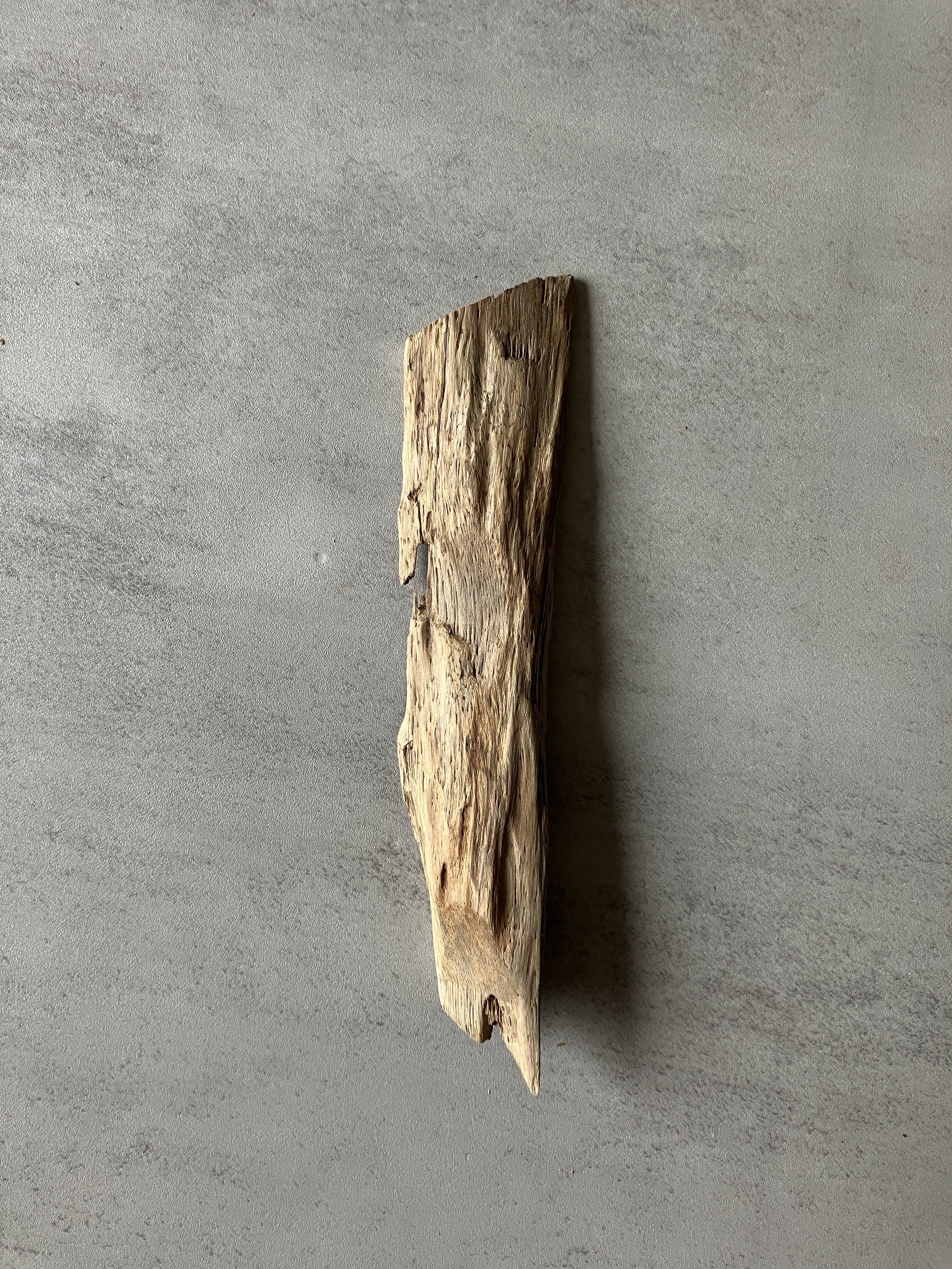 image_23663781-4101-4AD1-8F9B-BB652EA9932D_1774423124