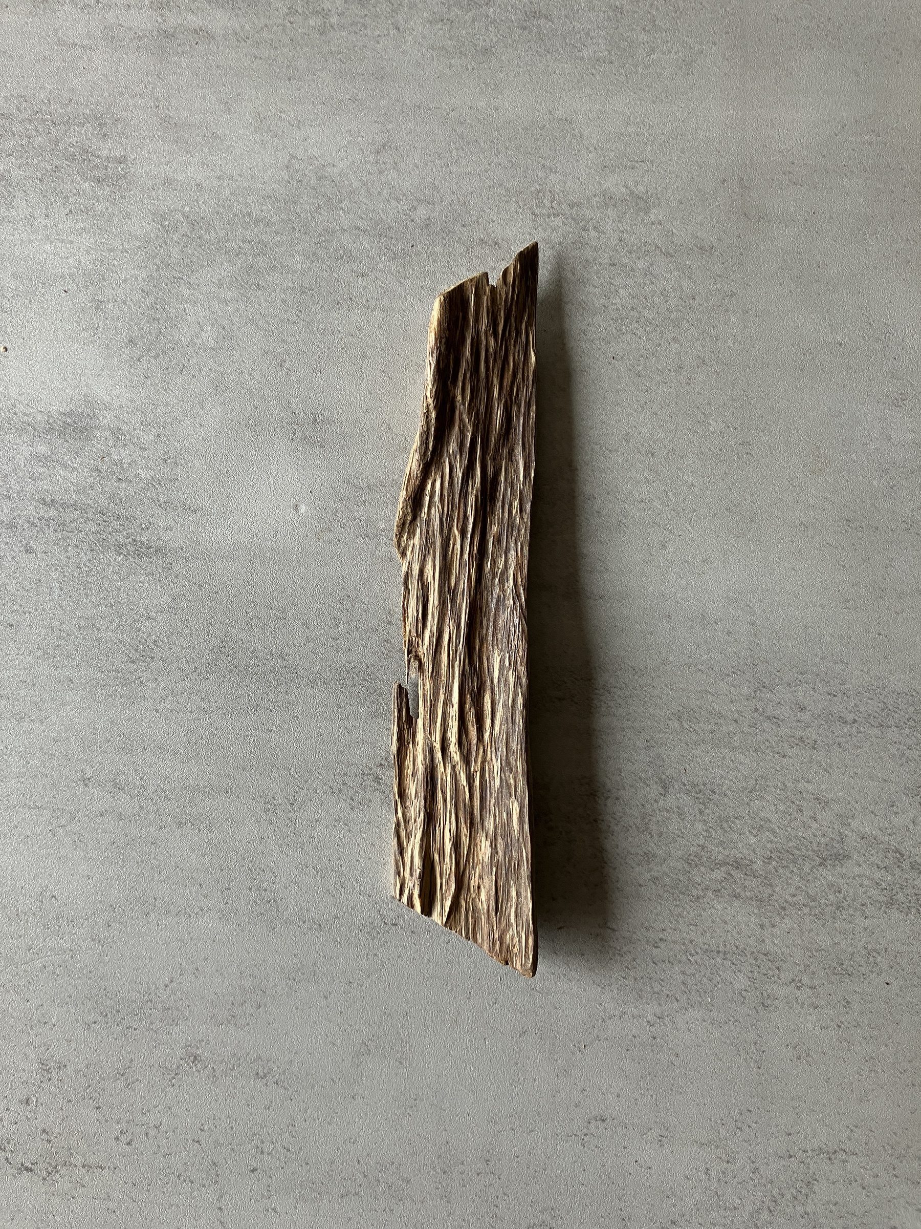 image_56A09E02-6E3D-4C82-8824-84BCD441A854_1774423124