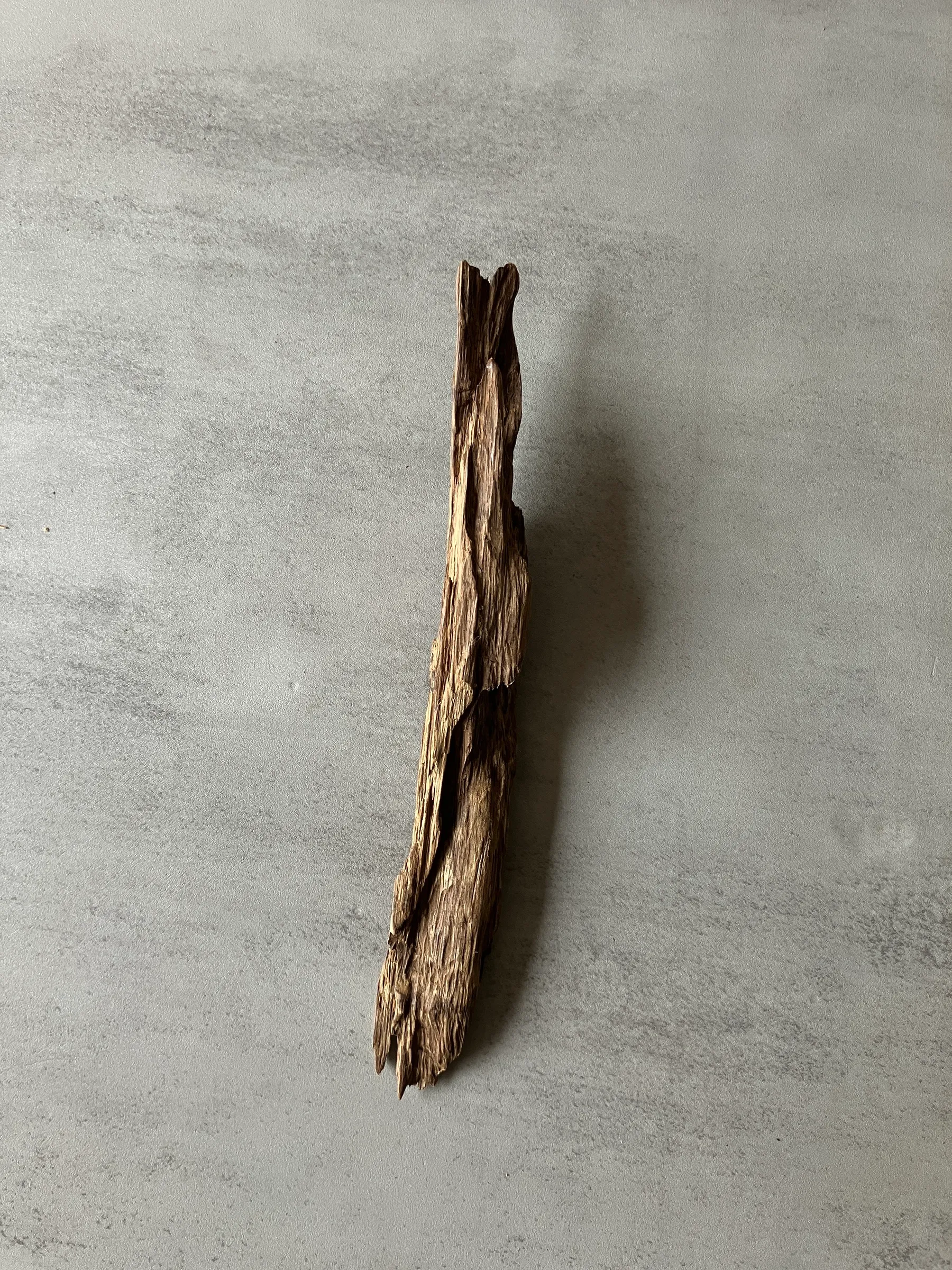 image_2AE085C2-2F11-4939-95C0-69FD04B7AEB2_1774423221