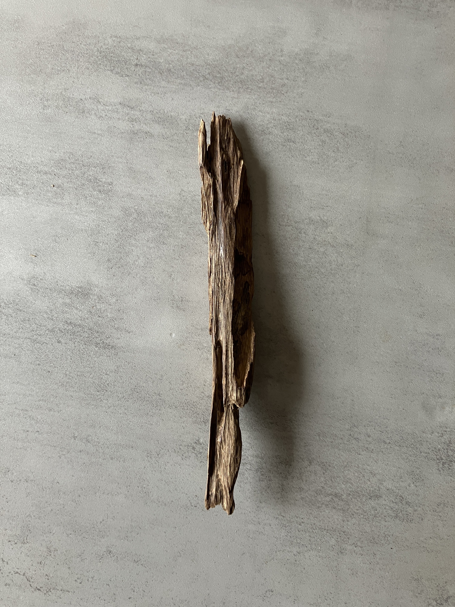 image_719E3D29-7AEB-41ED-85CB-FD0FF869675E_1774423221