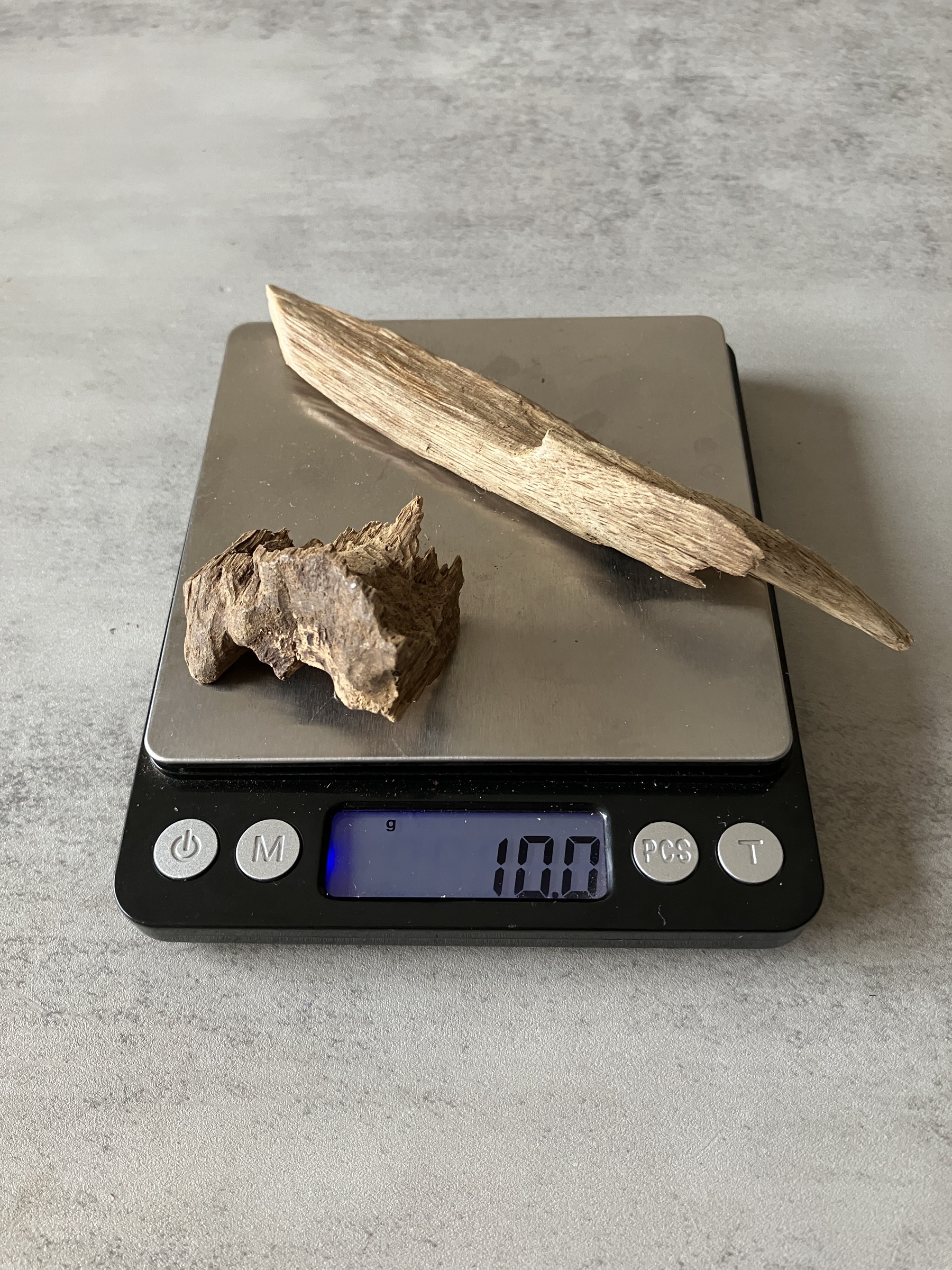 image_E47A692D-1FB9-4268-B5E4-4A254AD230BD_1774423361