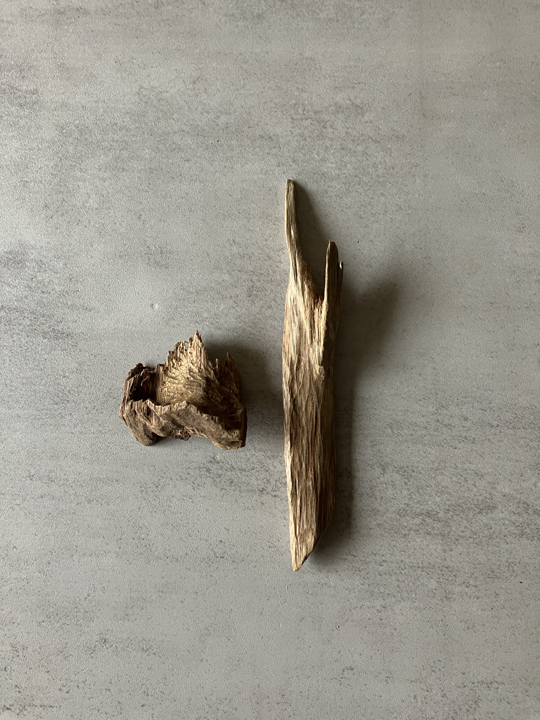 image_D7304F61-83ED-47D9-A622-F3B1835C5572_1774423361